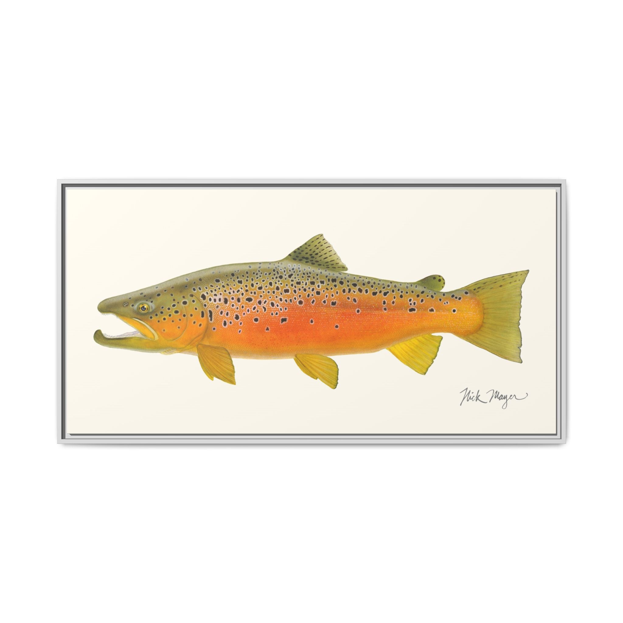 Brown Trout II Framed Canvas Print Printify