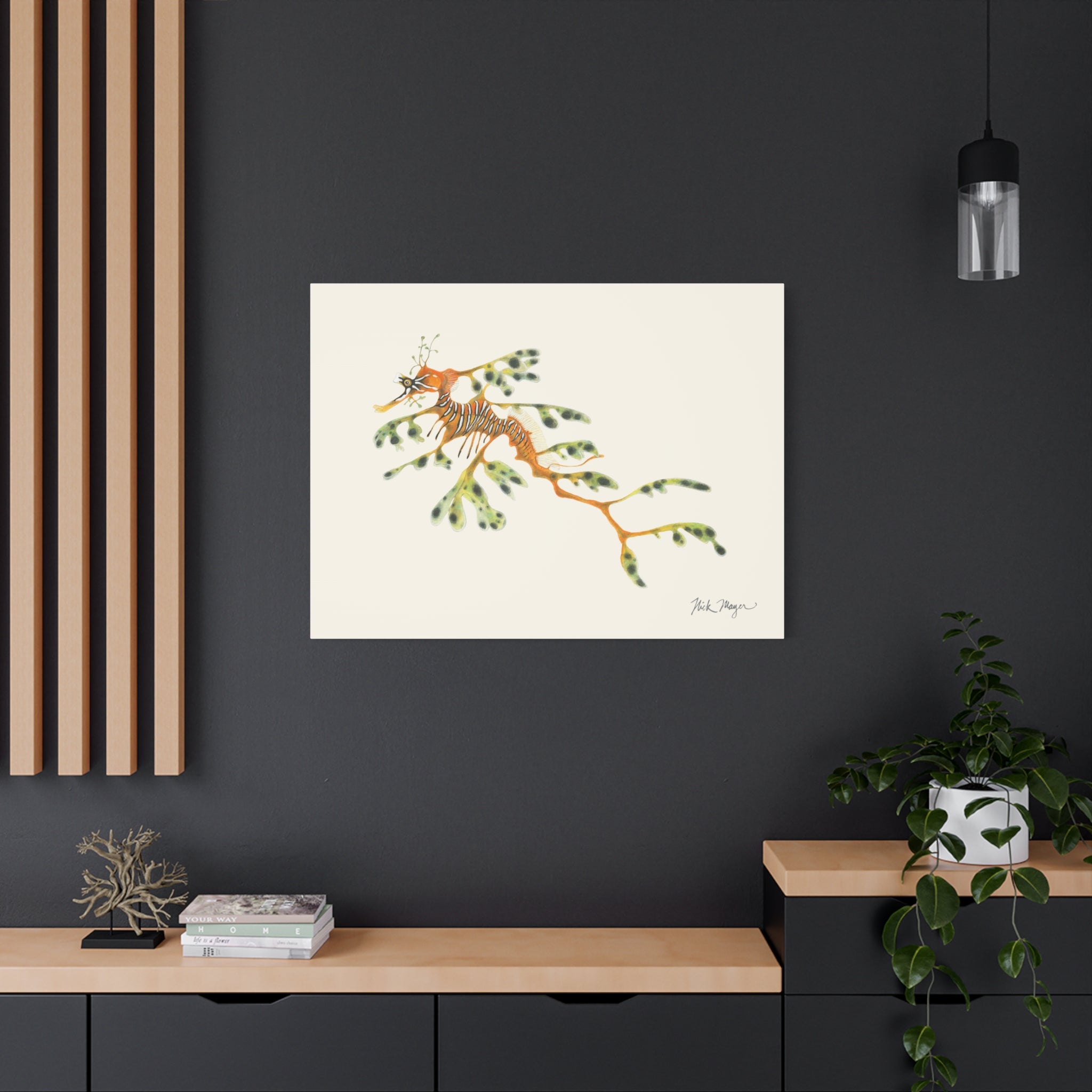 Leafy Sea Dragon Canvas Print