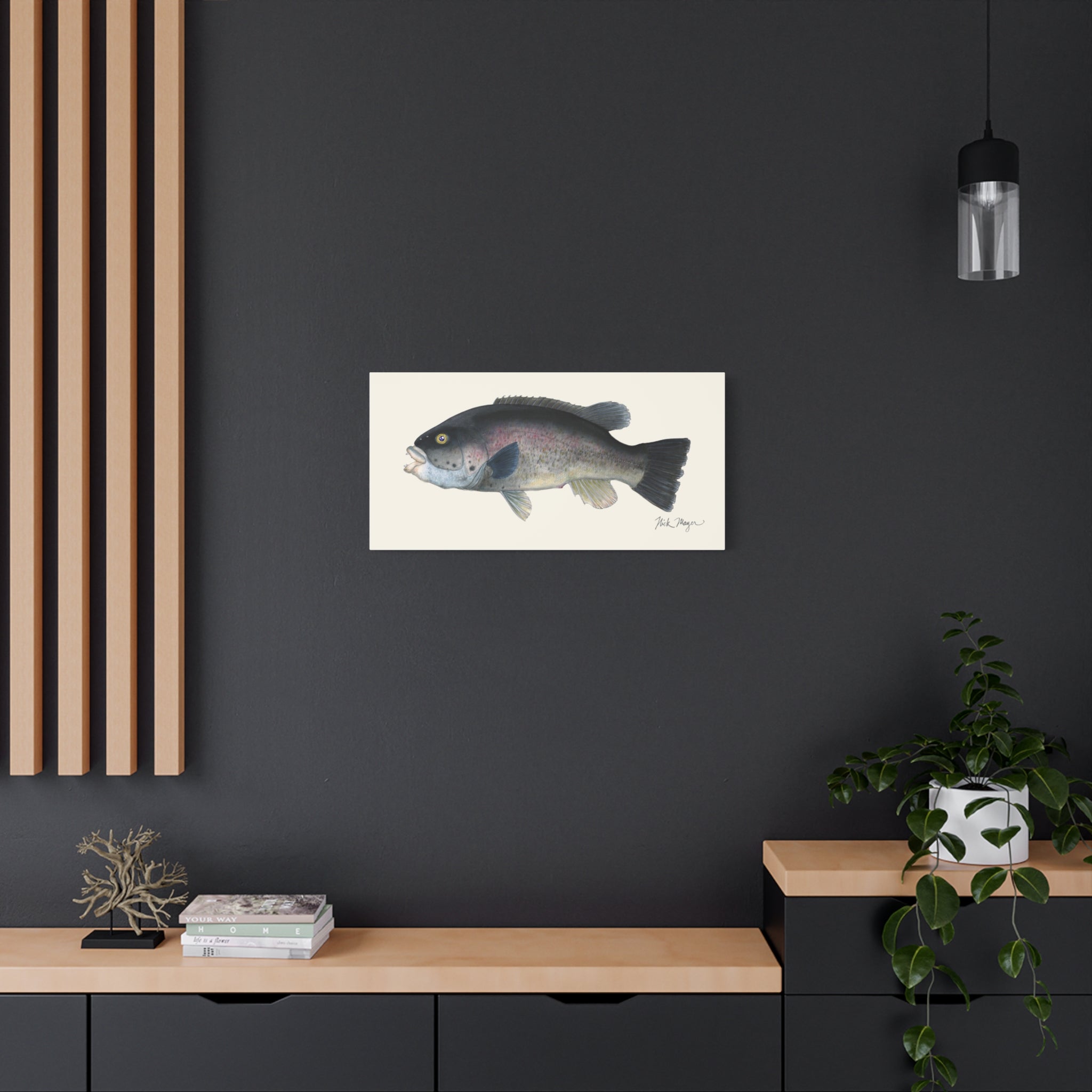 Tautog Canvas Print