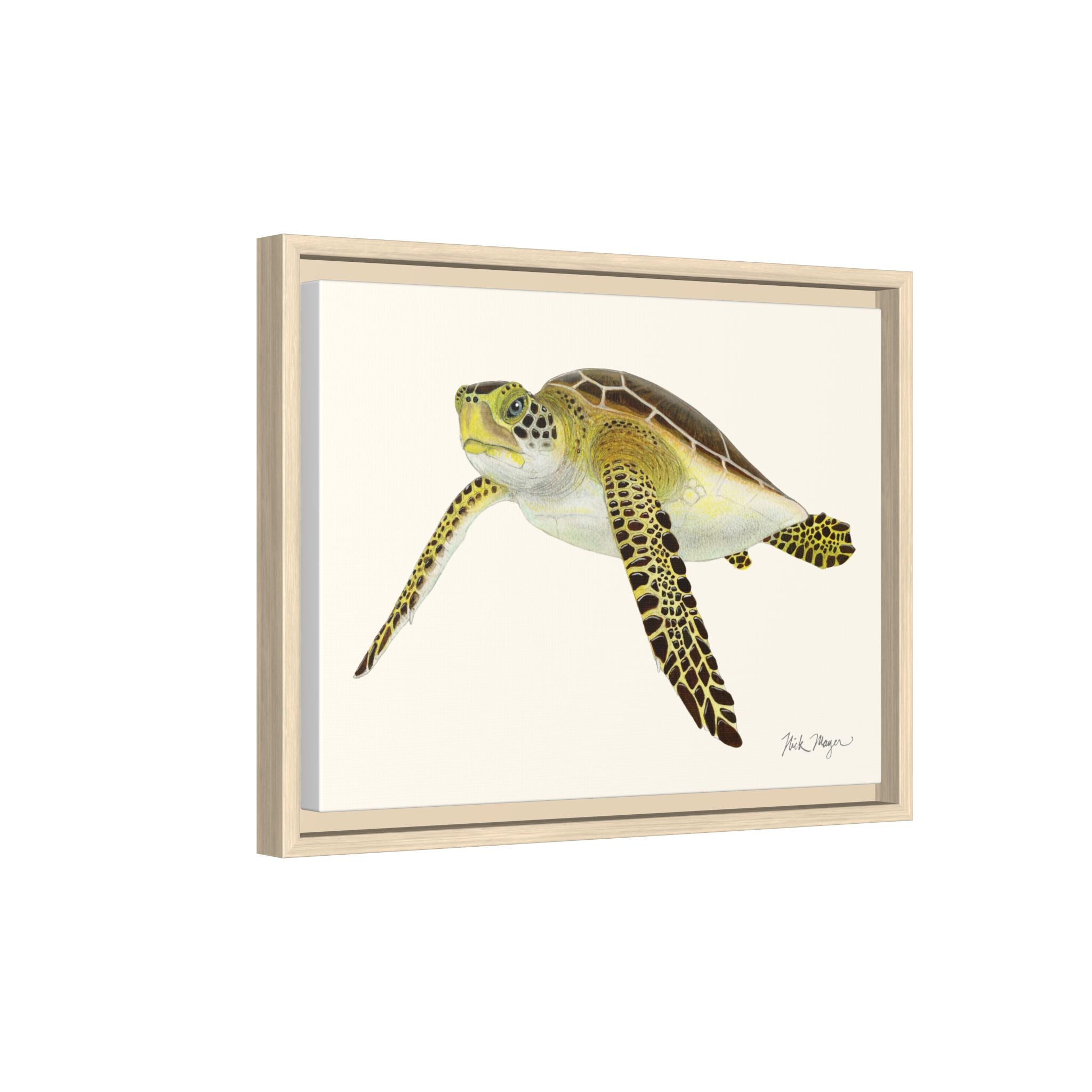 Green Sea Turtle III Framed Canvas Print Printify