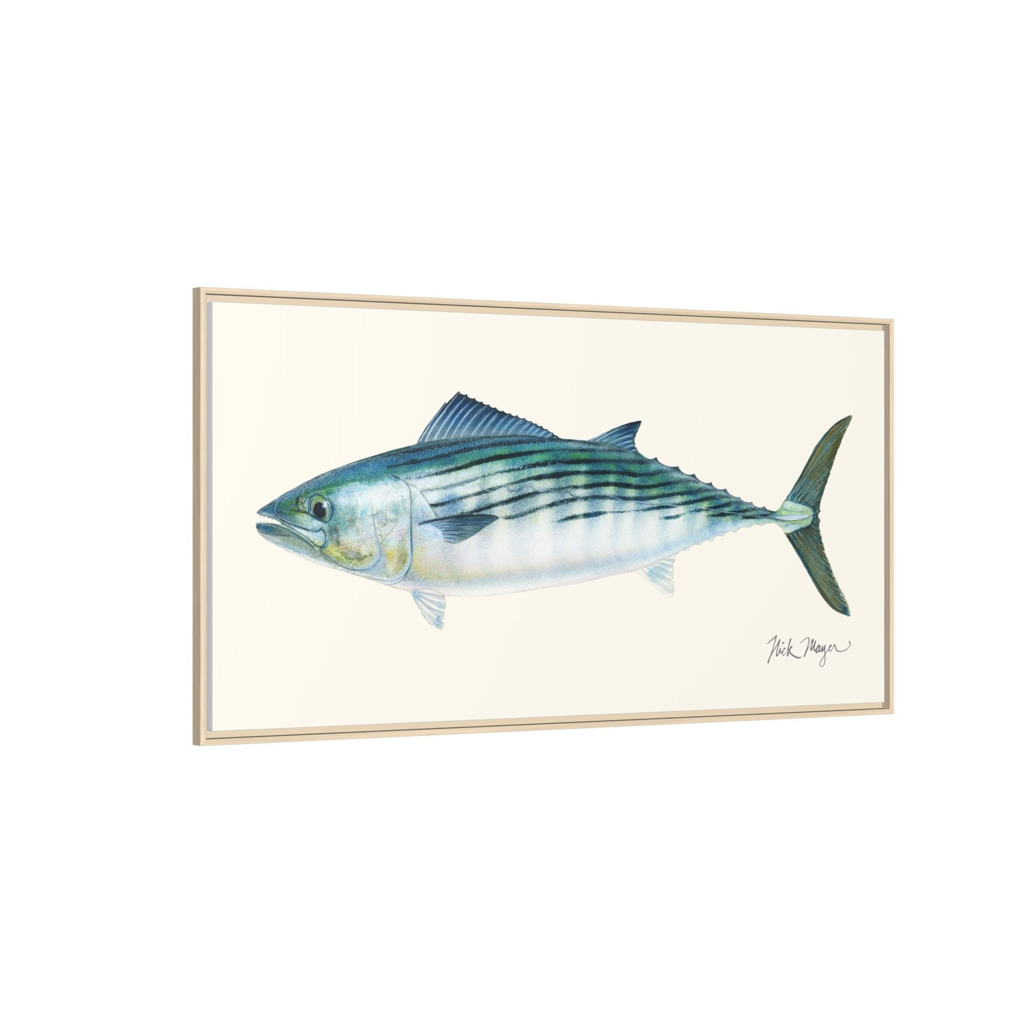 Bonito Framed Canvas Print Printify