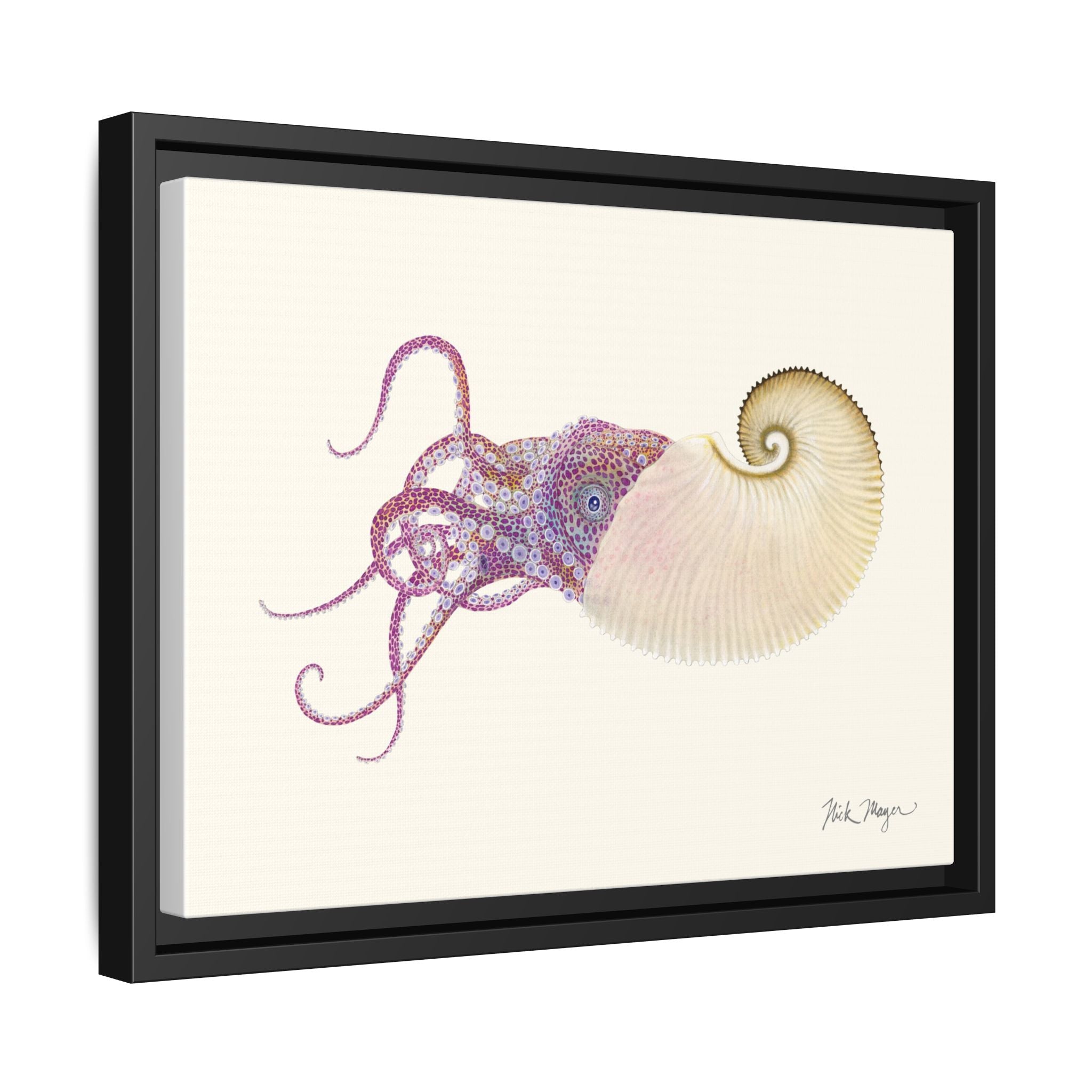 Paper Nautilus Framed Canvas Print Printify