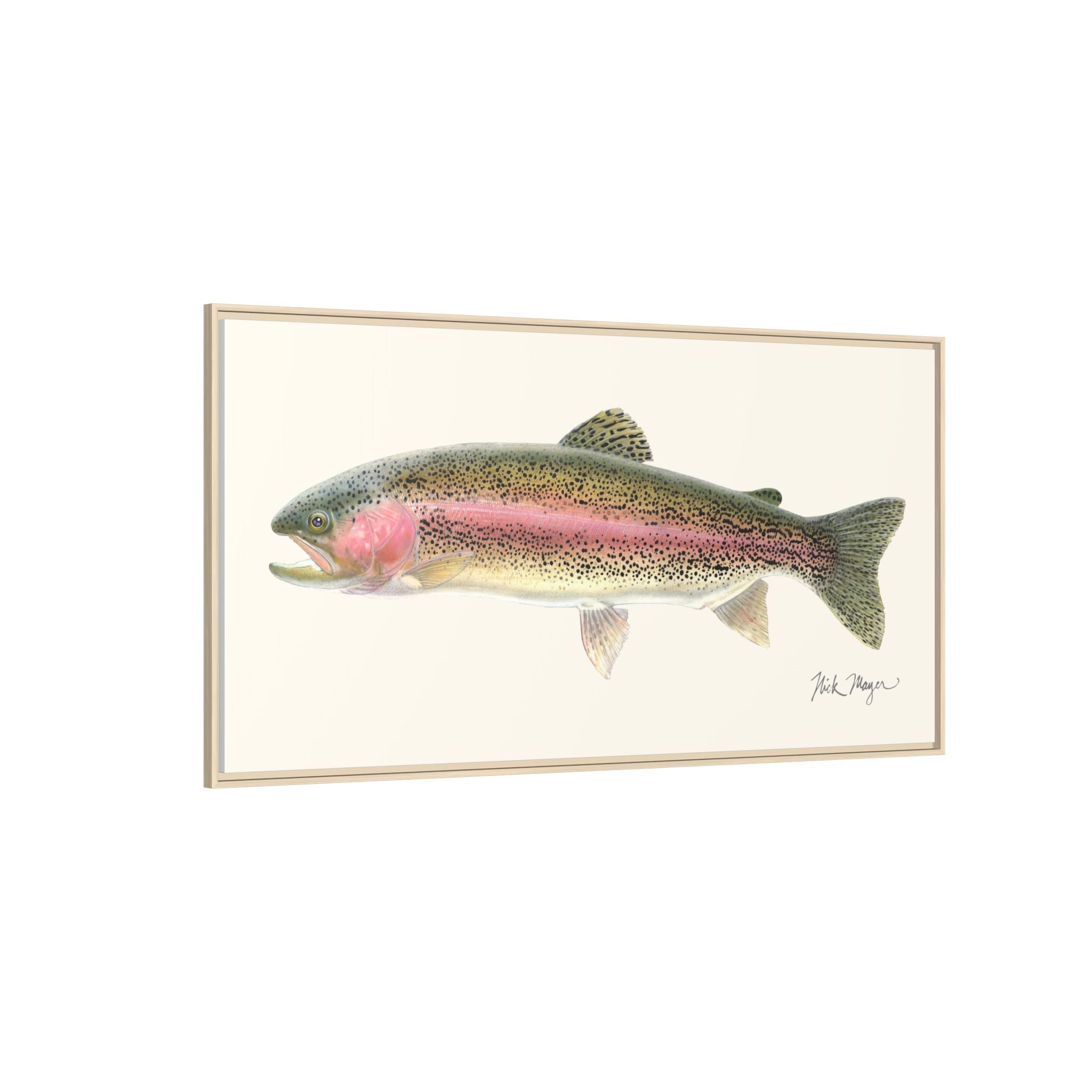 Rainbow Trout Framed Canvas Print Printify