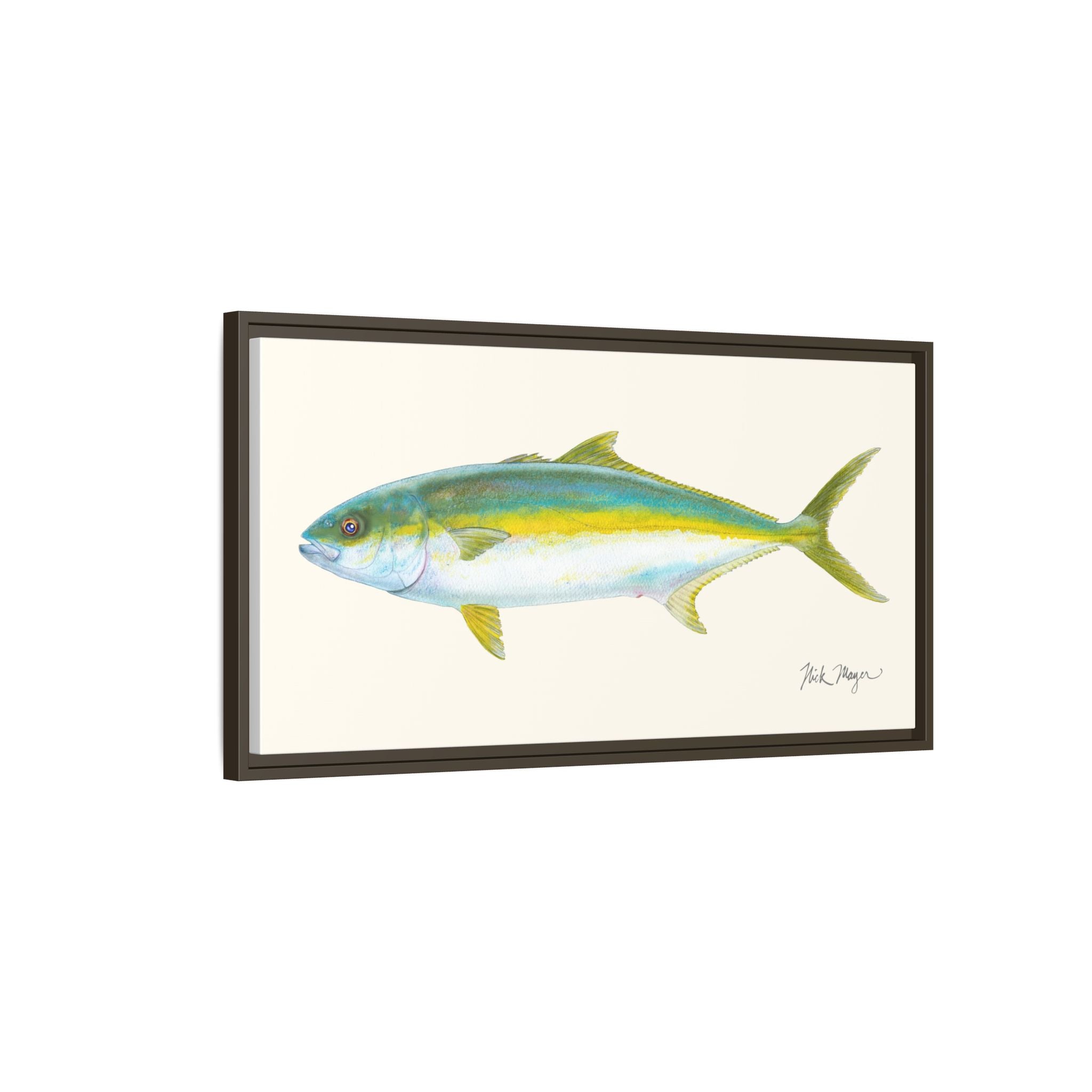 California Yellowtail I Framed Canvas Print Printify