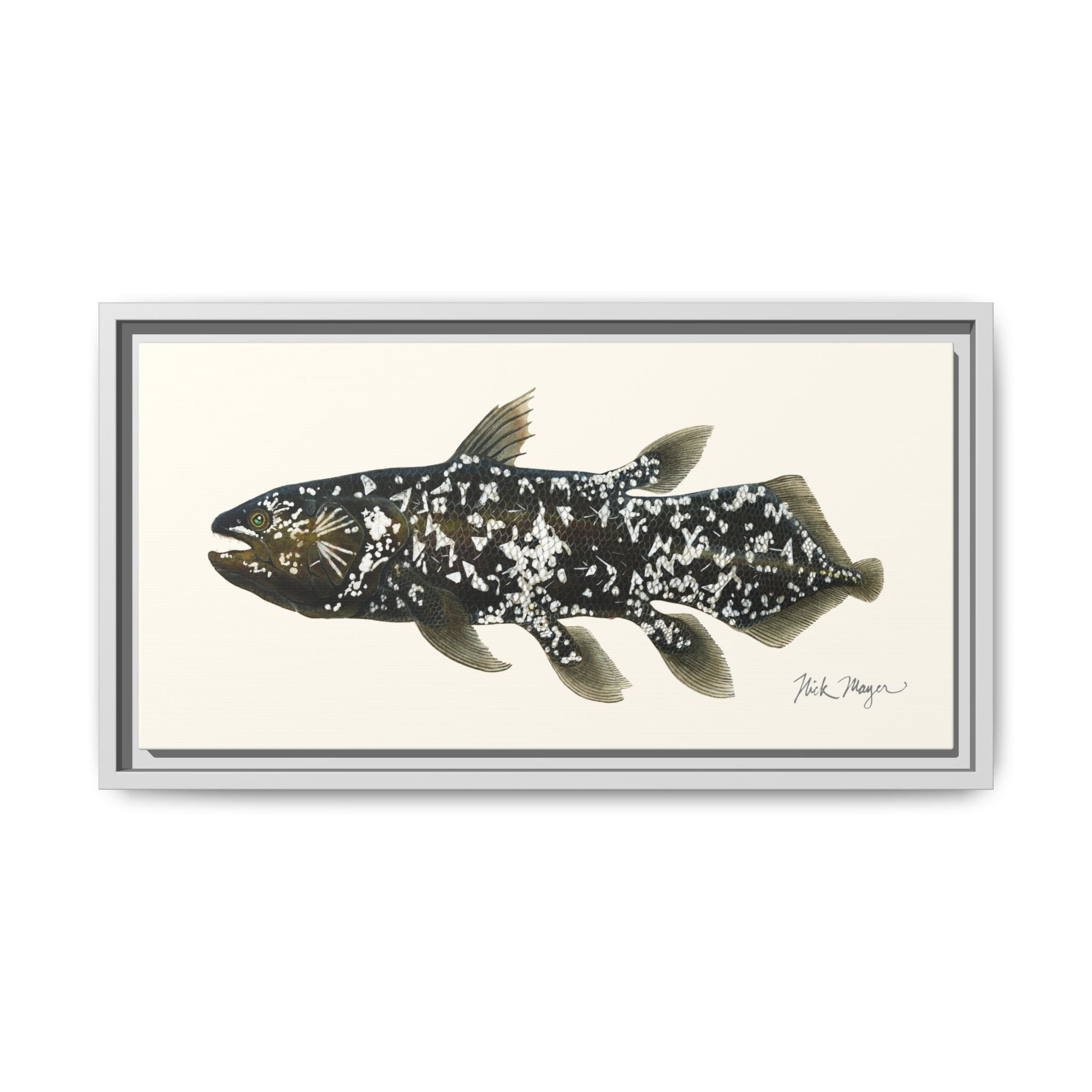 Coelacanth Framed Canvas Print Printify