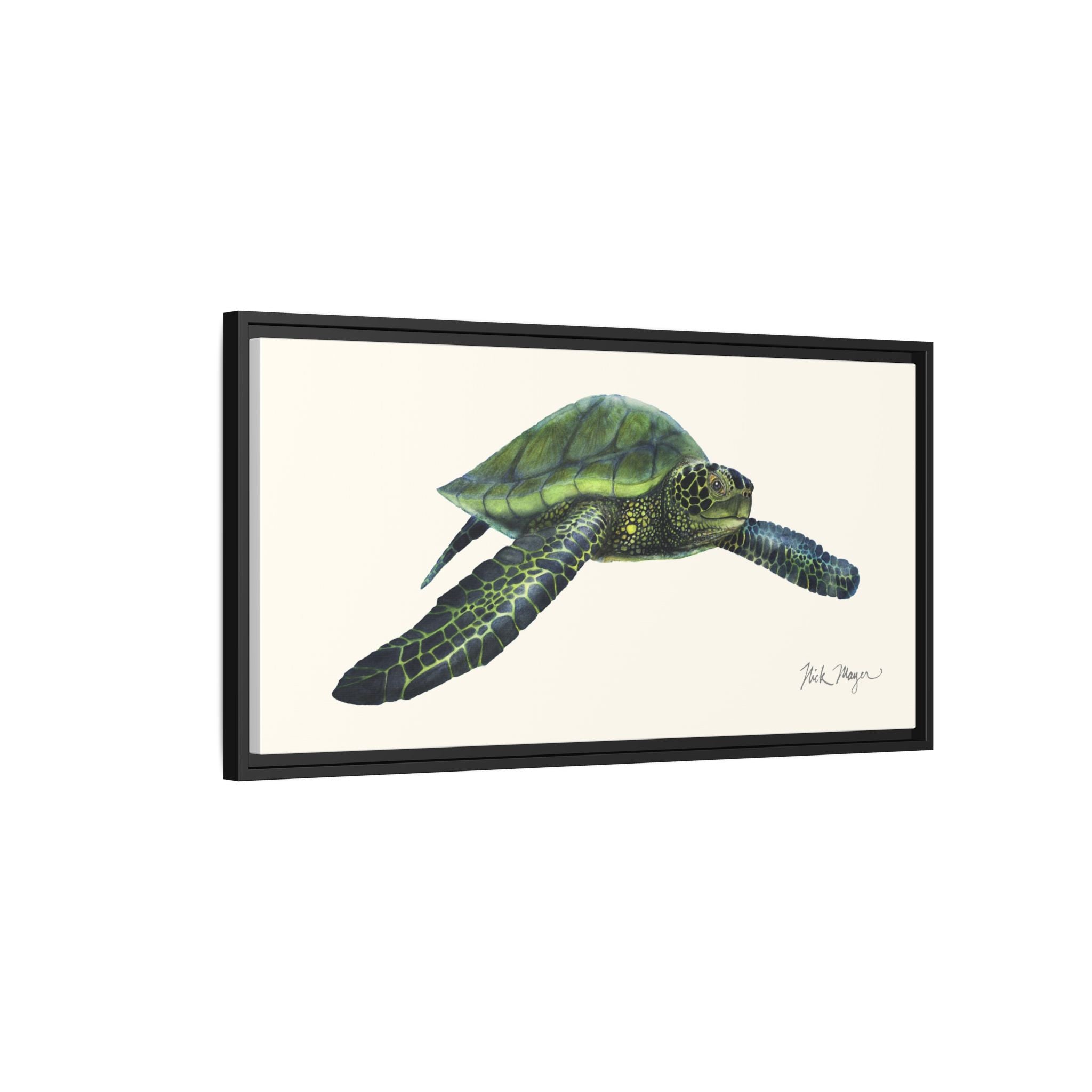 Green Sea Turtle I Framed Canvas Print Printify