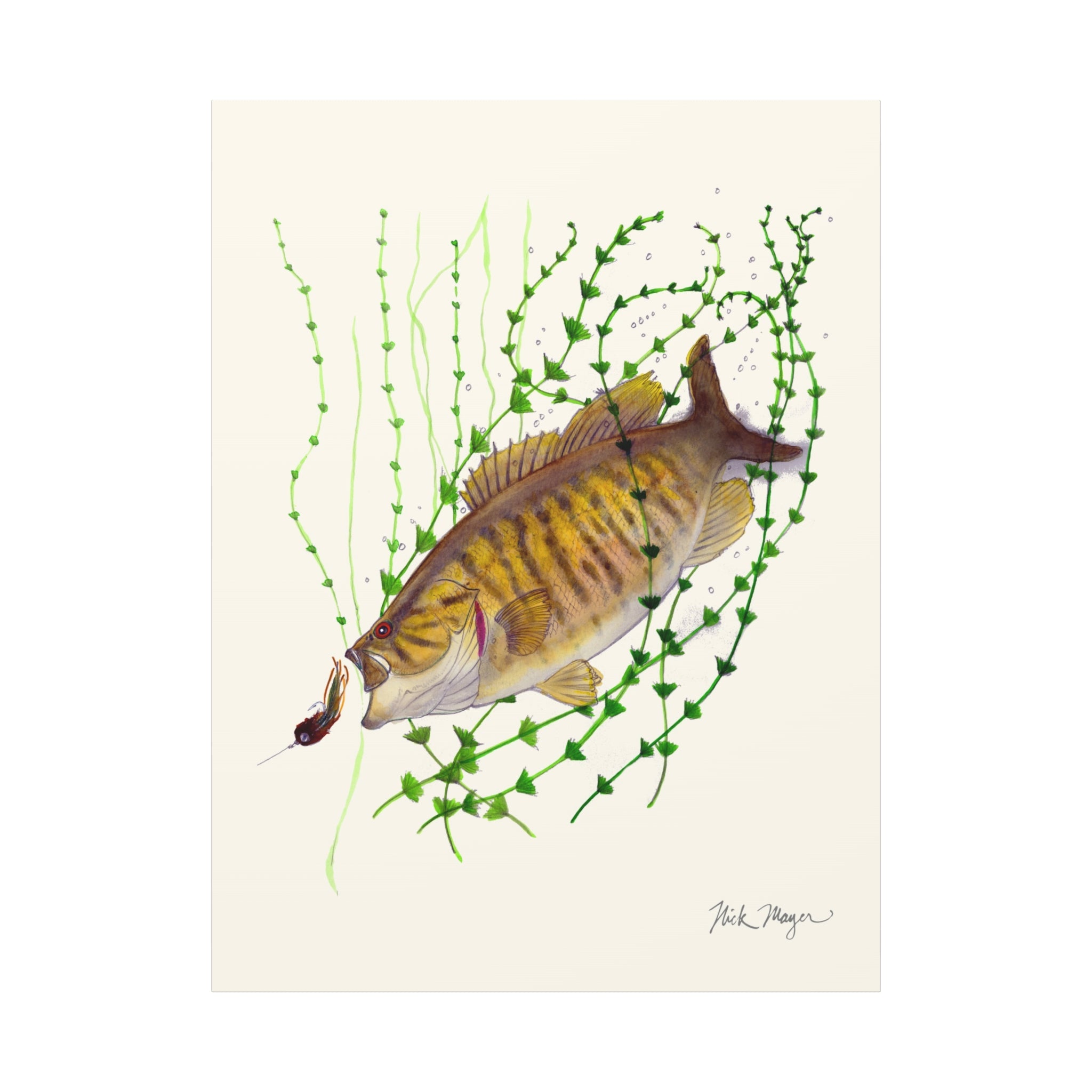 Bronzeback Smallmouth Bass Canvas Print