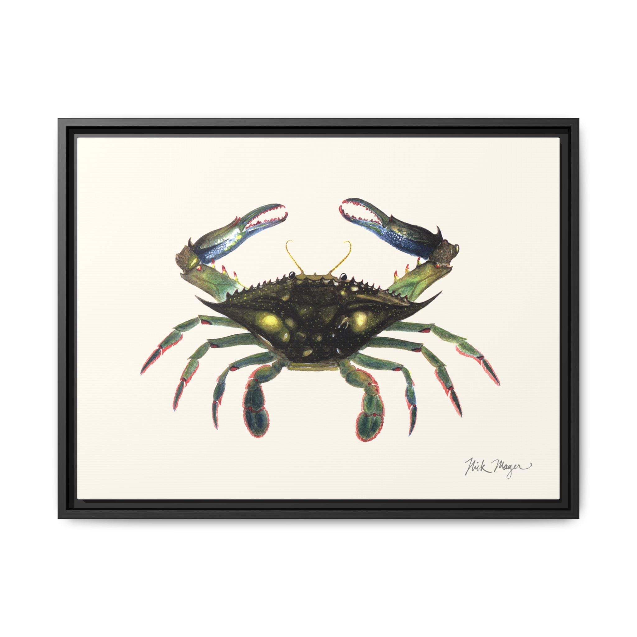 Blue Crab, Claws in Framed Canvas Print Printify