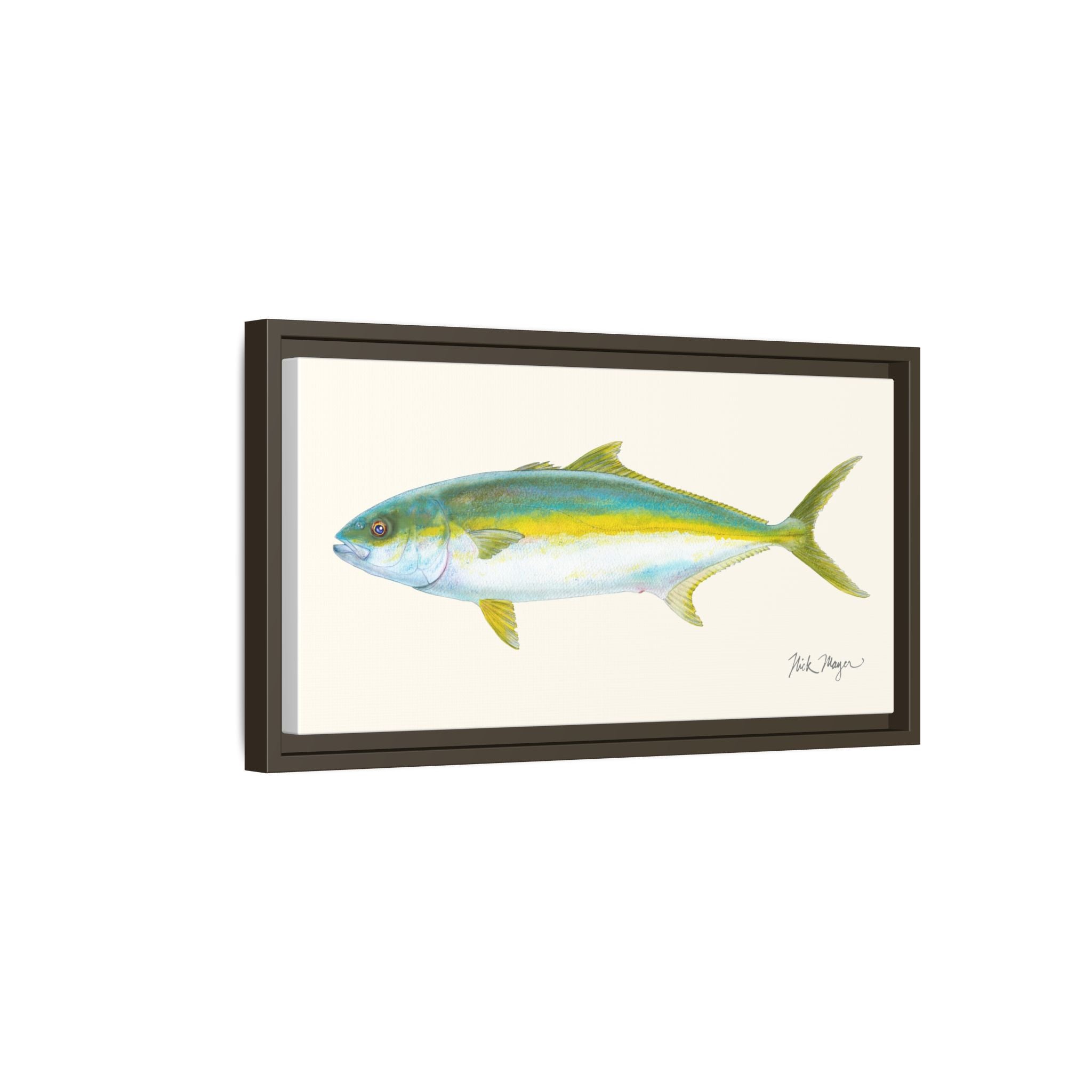 California Yellowtail I Framed Canvas Print Printify