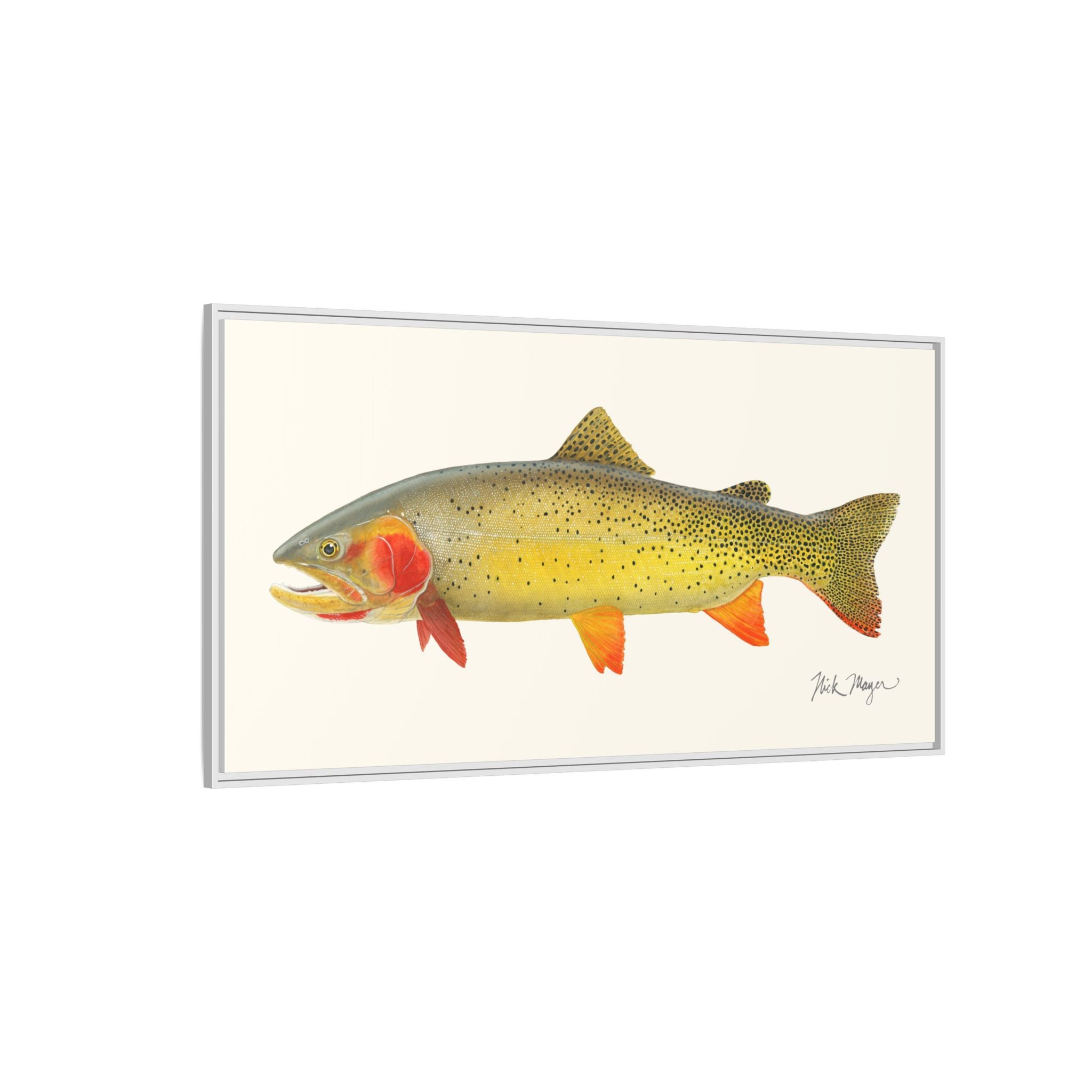 Cutthroat Trout I Framed Canvas Print Printify