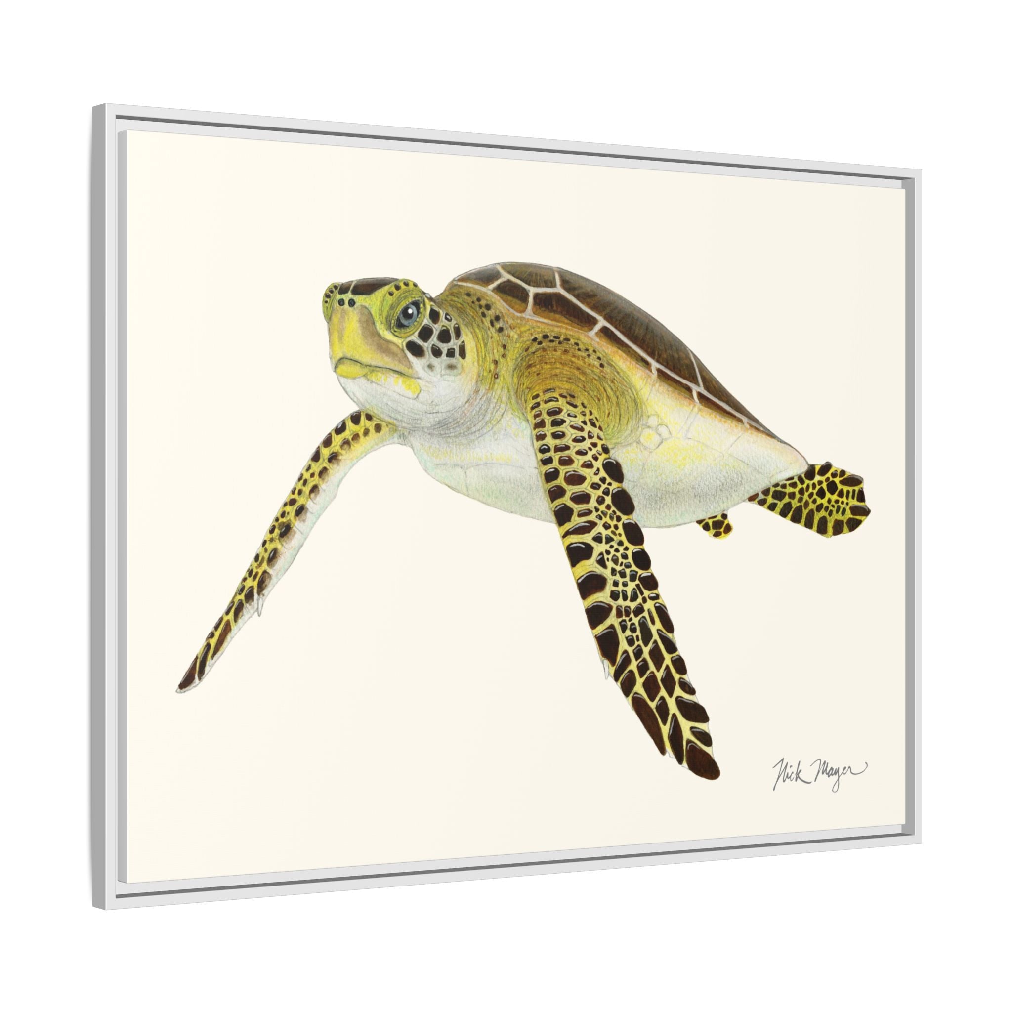 Green Sea Turtle III Framed Canvas Print Printify