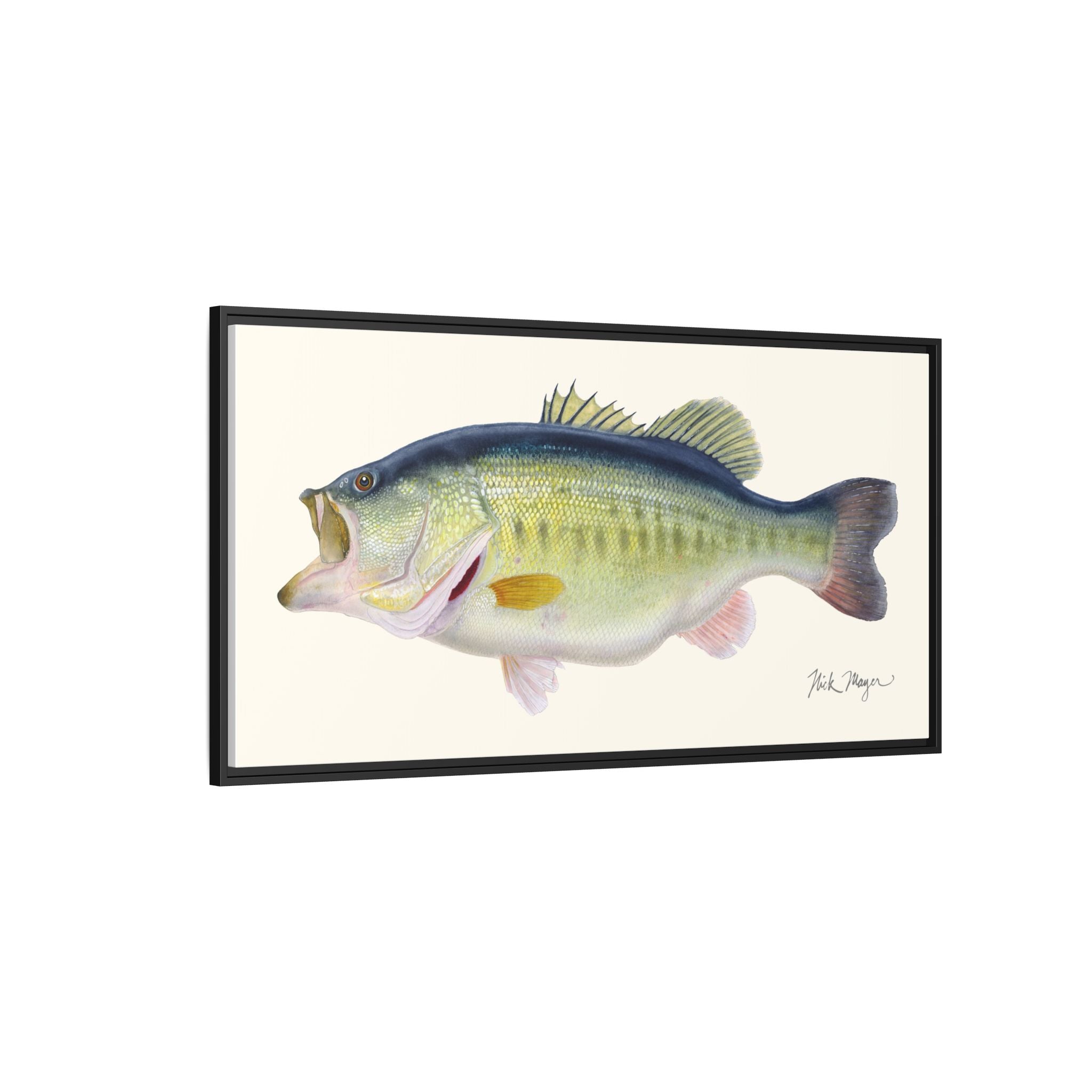 Largemouth Bass 3 Framed Canvas Print