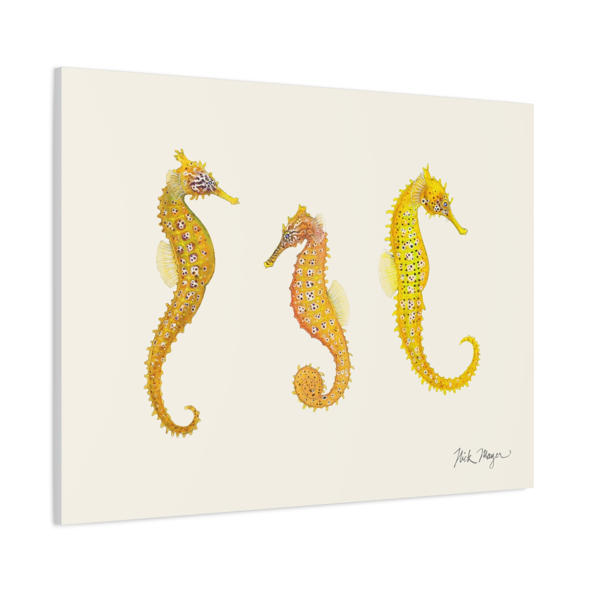 Giant Seahorse Trio Canvas Print