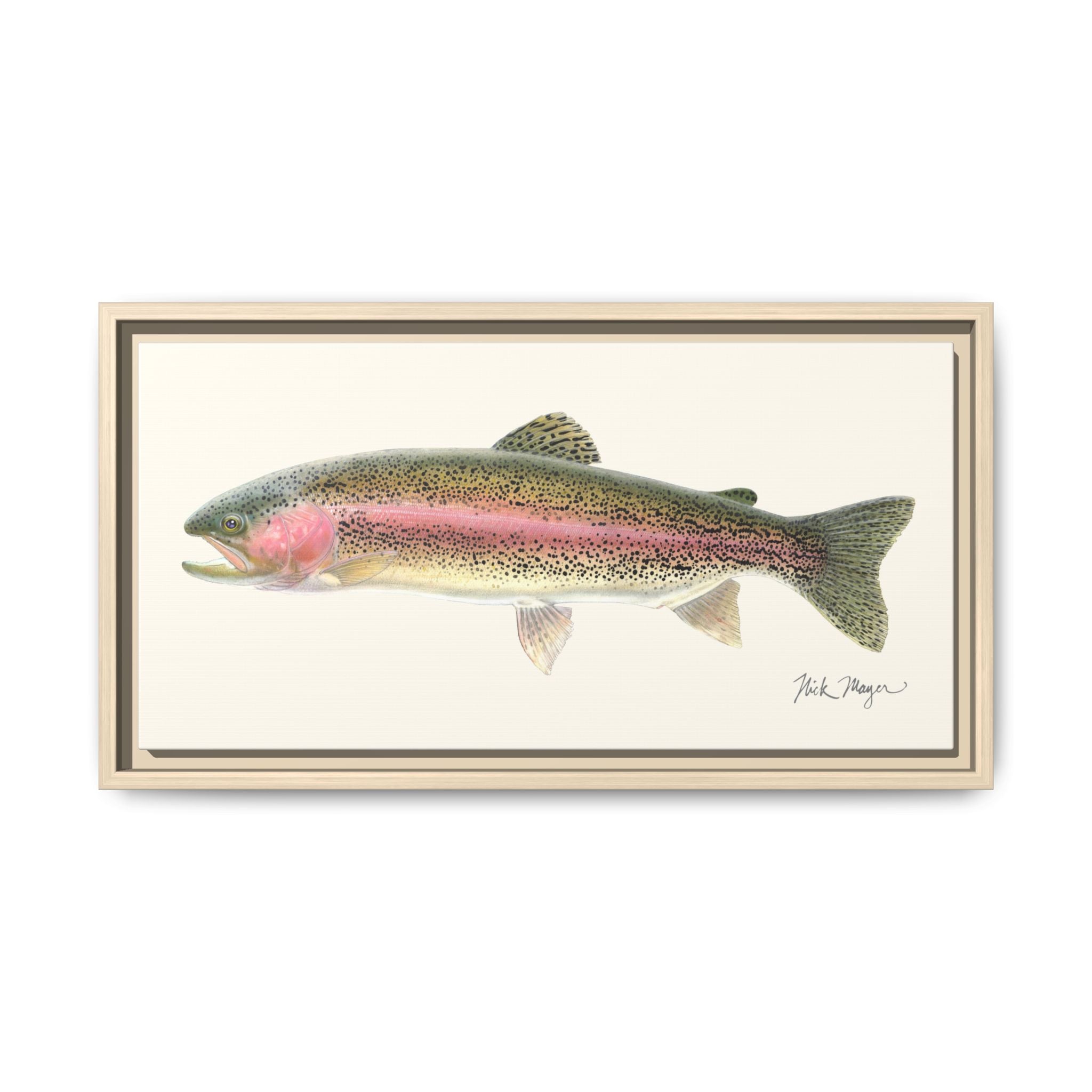 Rainbow Trout Framed Canvas Print Printify