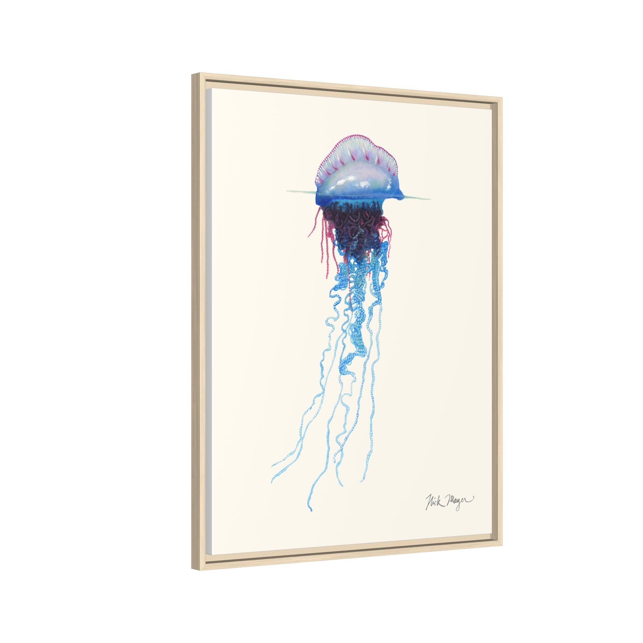 Portuguese Man O' War Framed Canvas Print Printify