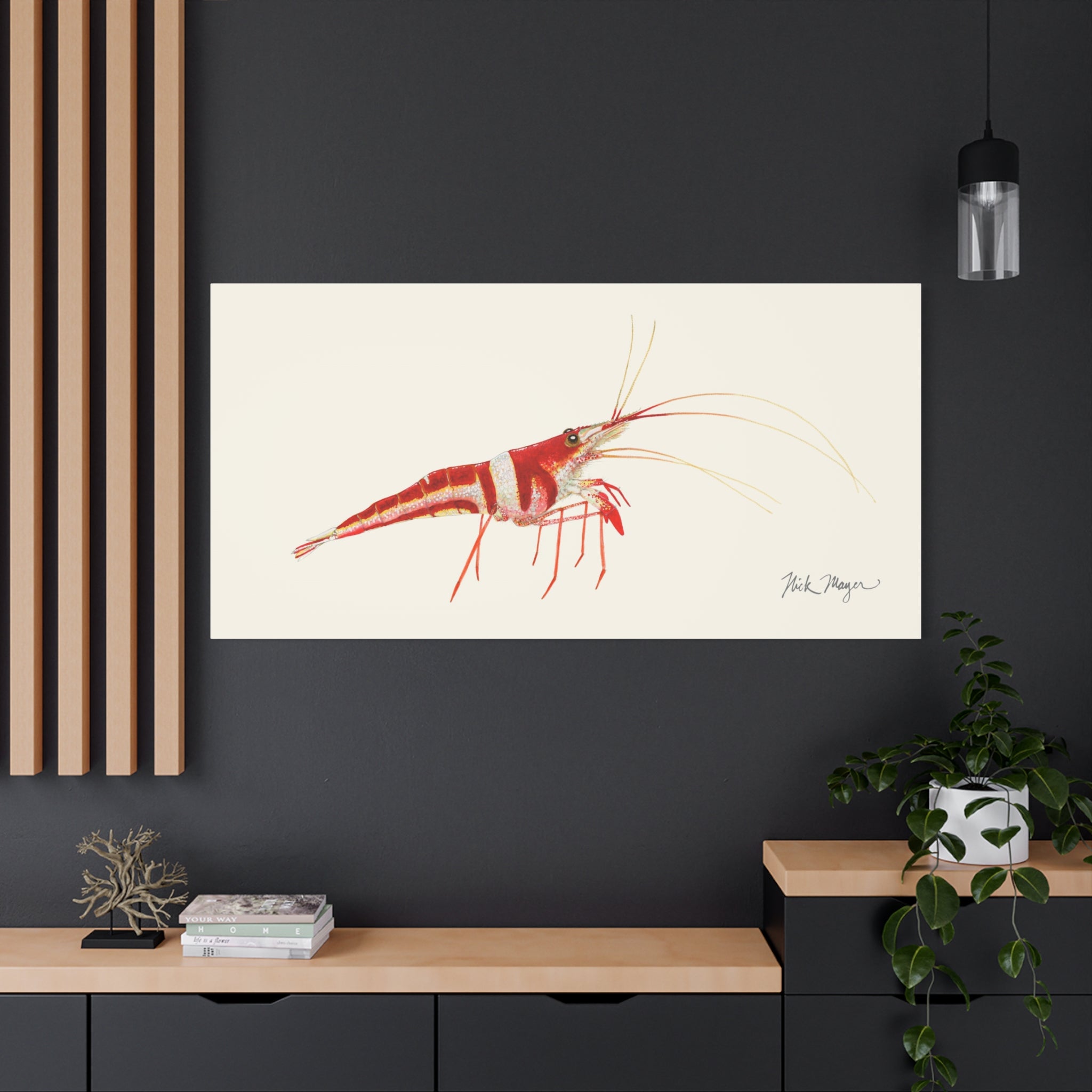 Sulawesi Harlequin Shrimp Canvas Print