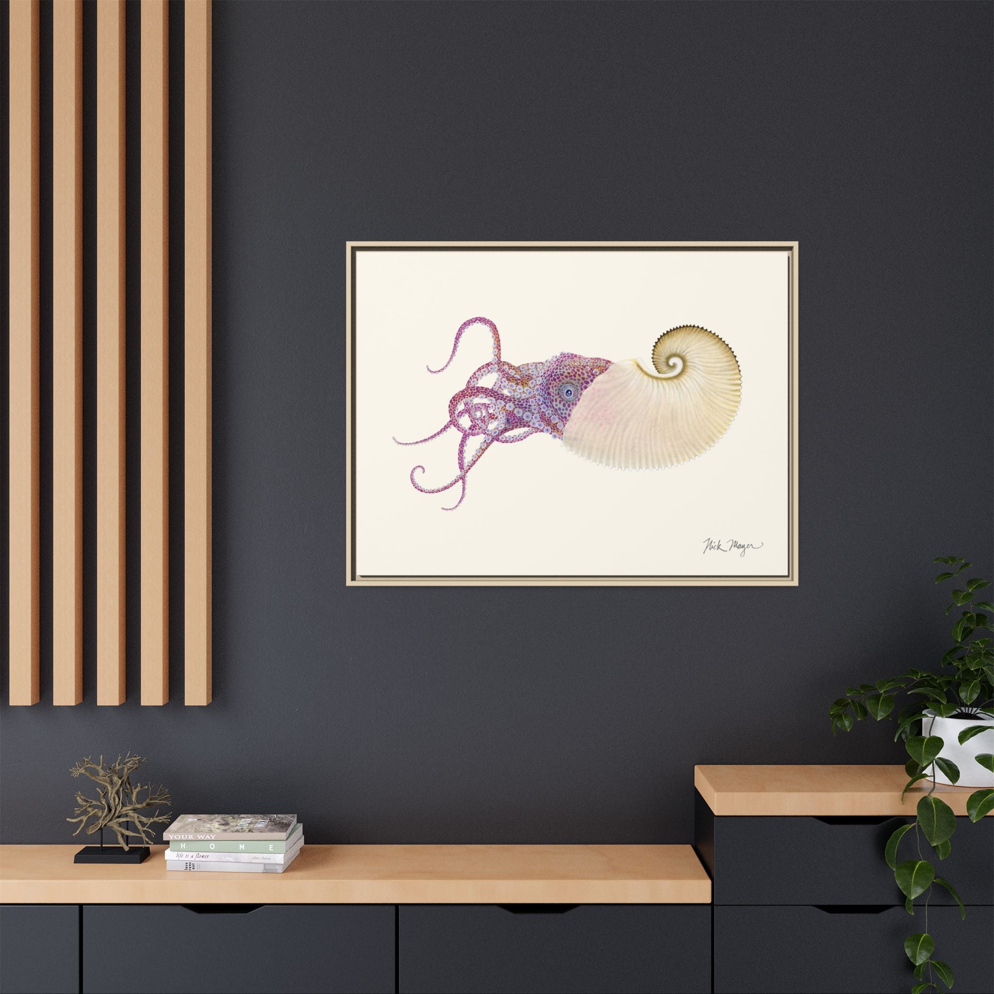 Paper Nautilus Framed Canvas Print