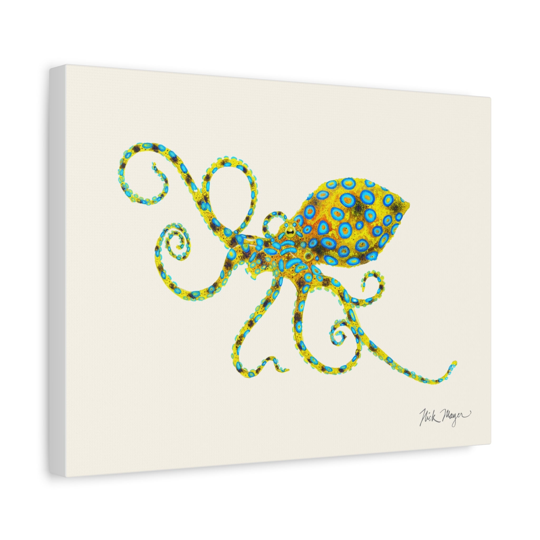 Blue Ringed Octopus Canvas Print