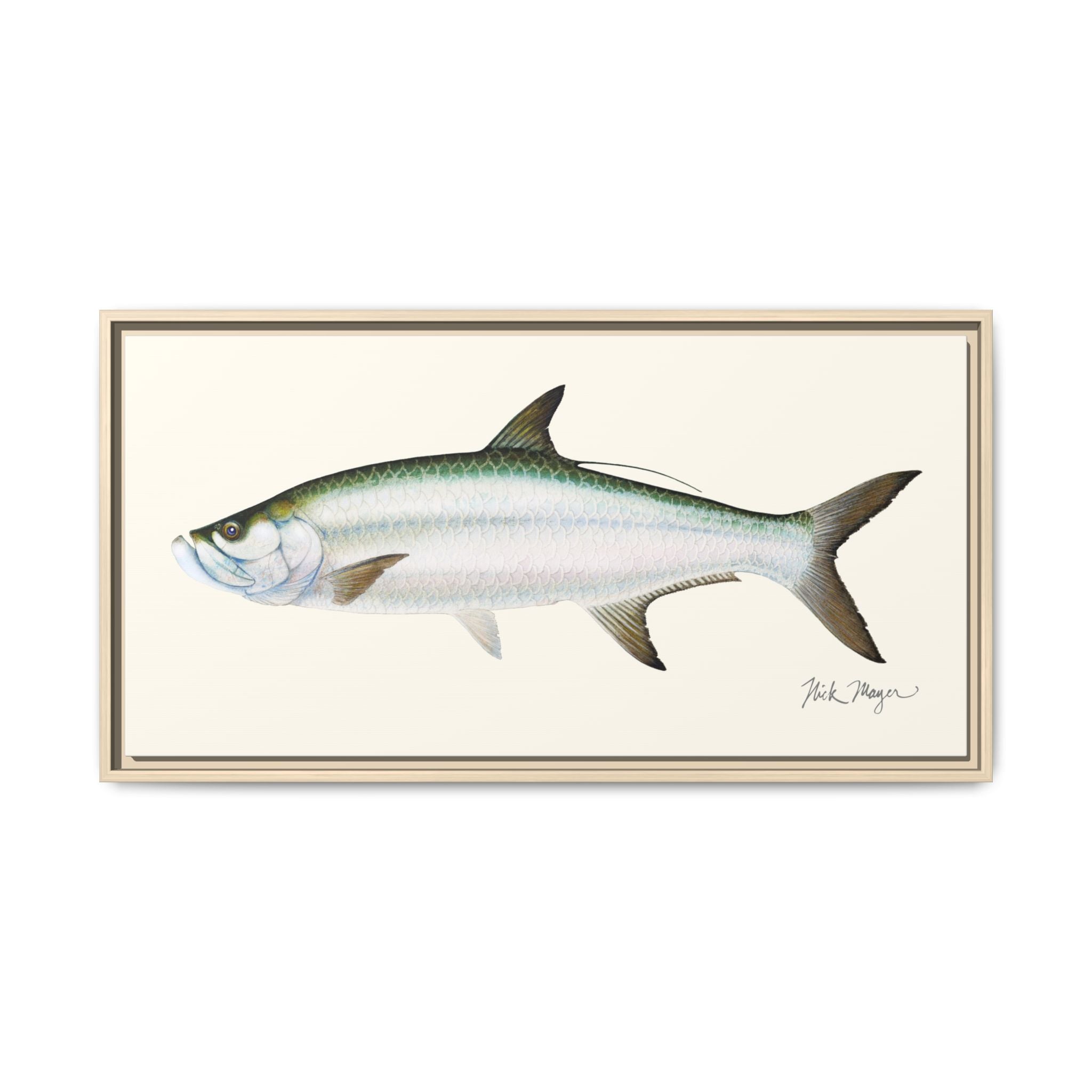 Tarpon Framed Canvas Print Printify