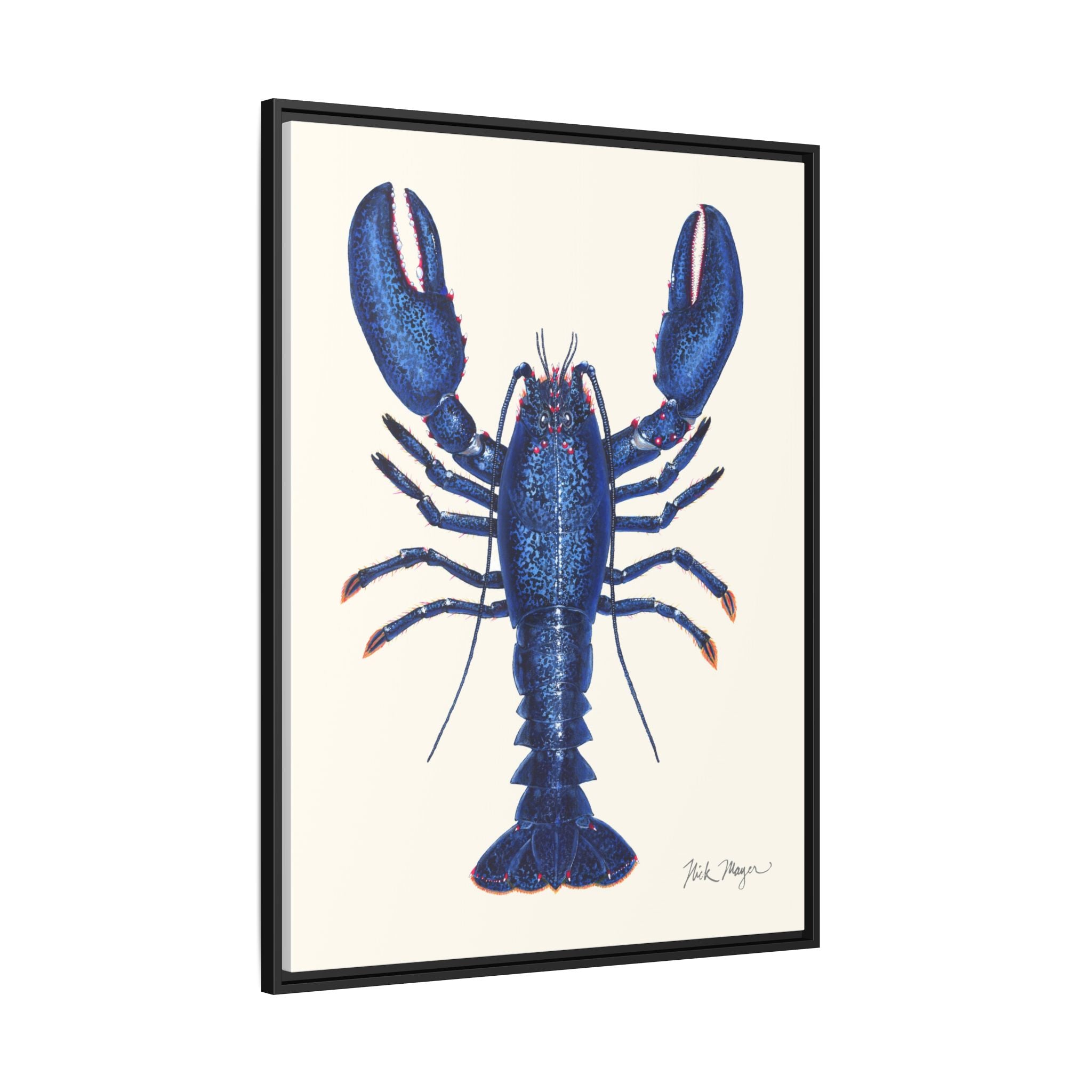 Blue Lobster II Framed Canvas Print