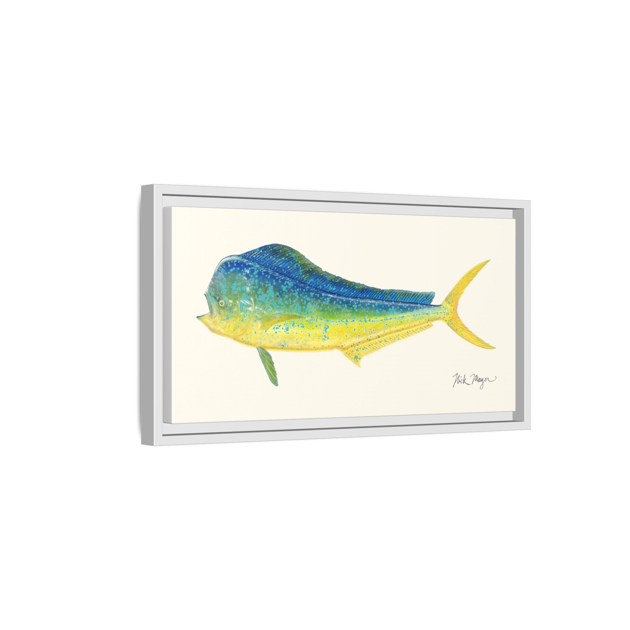 Bull Mahi Mahi Framed Canvas Print