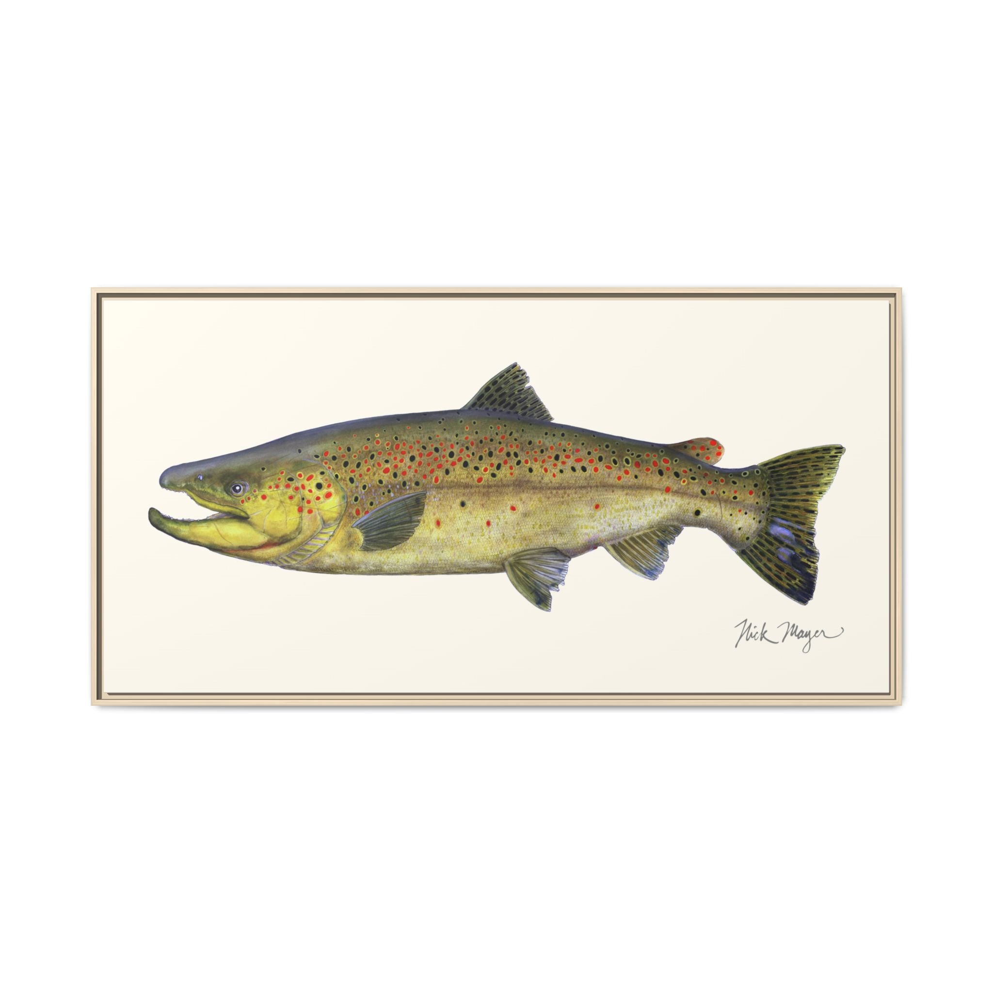 Brown Trout I Framed Canvas Print Printify