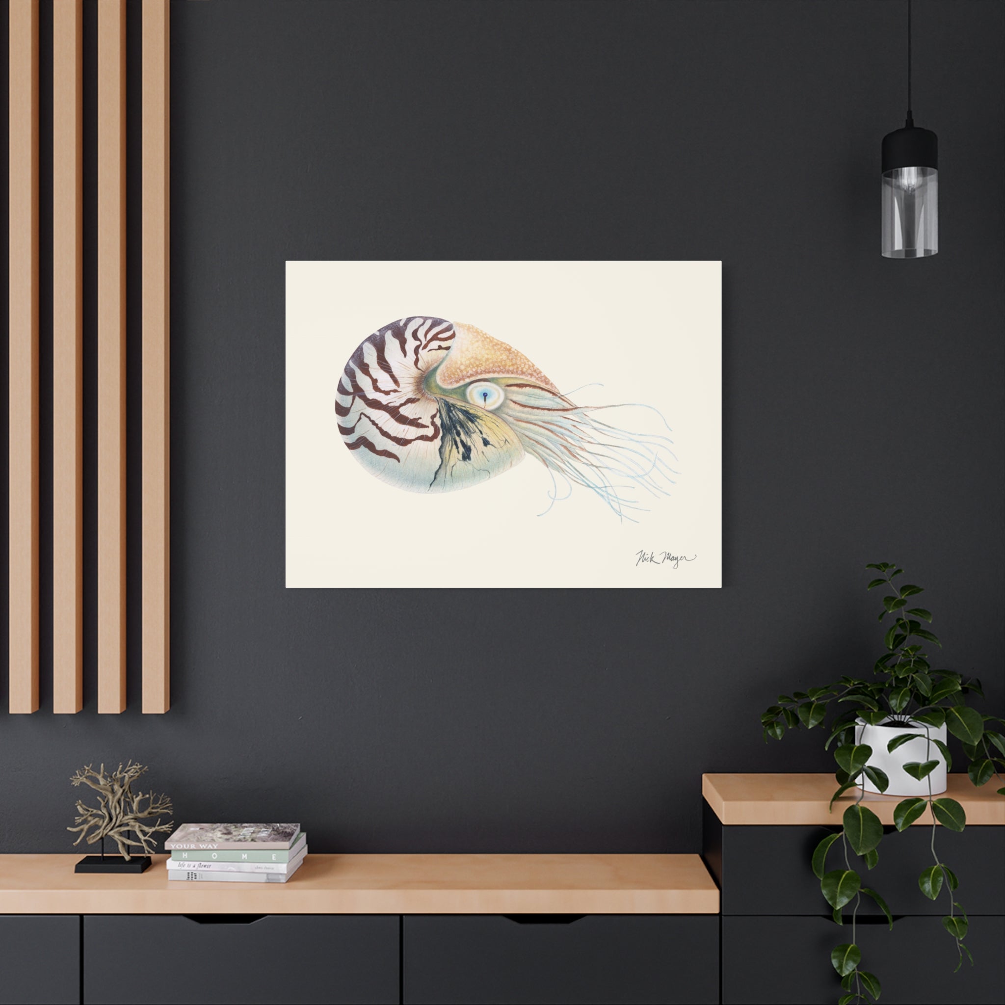 Chambered Nautilus Canvas Print