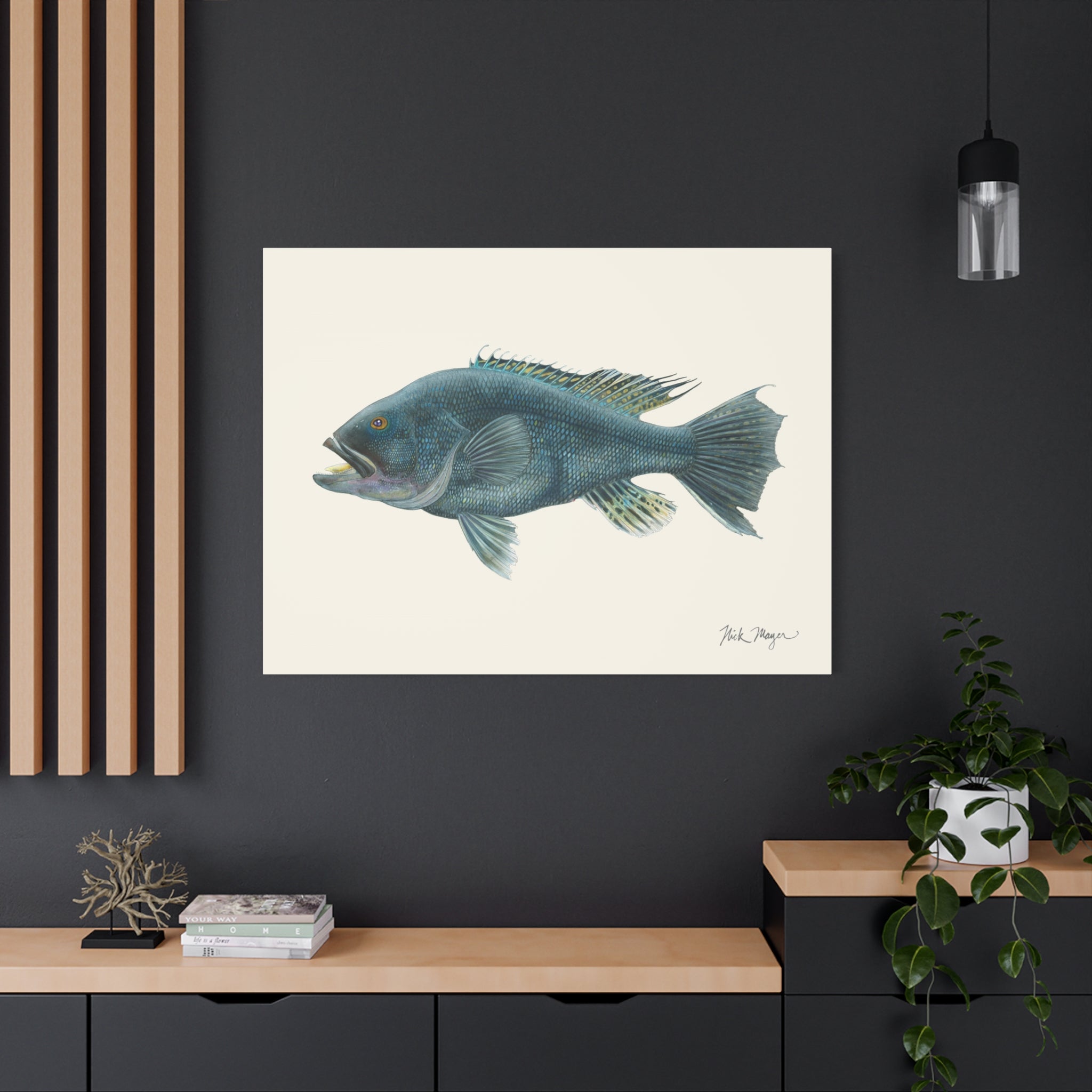 Black Sea Bass Canvas Print