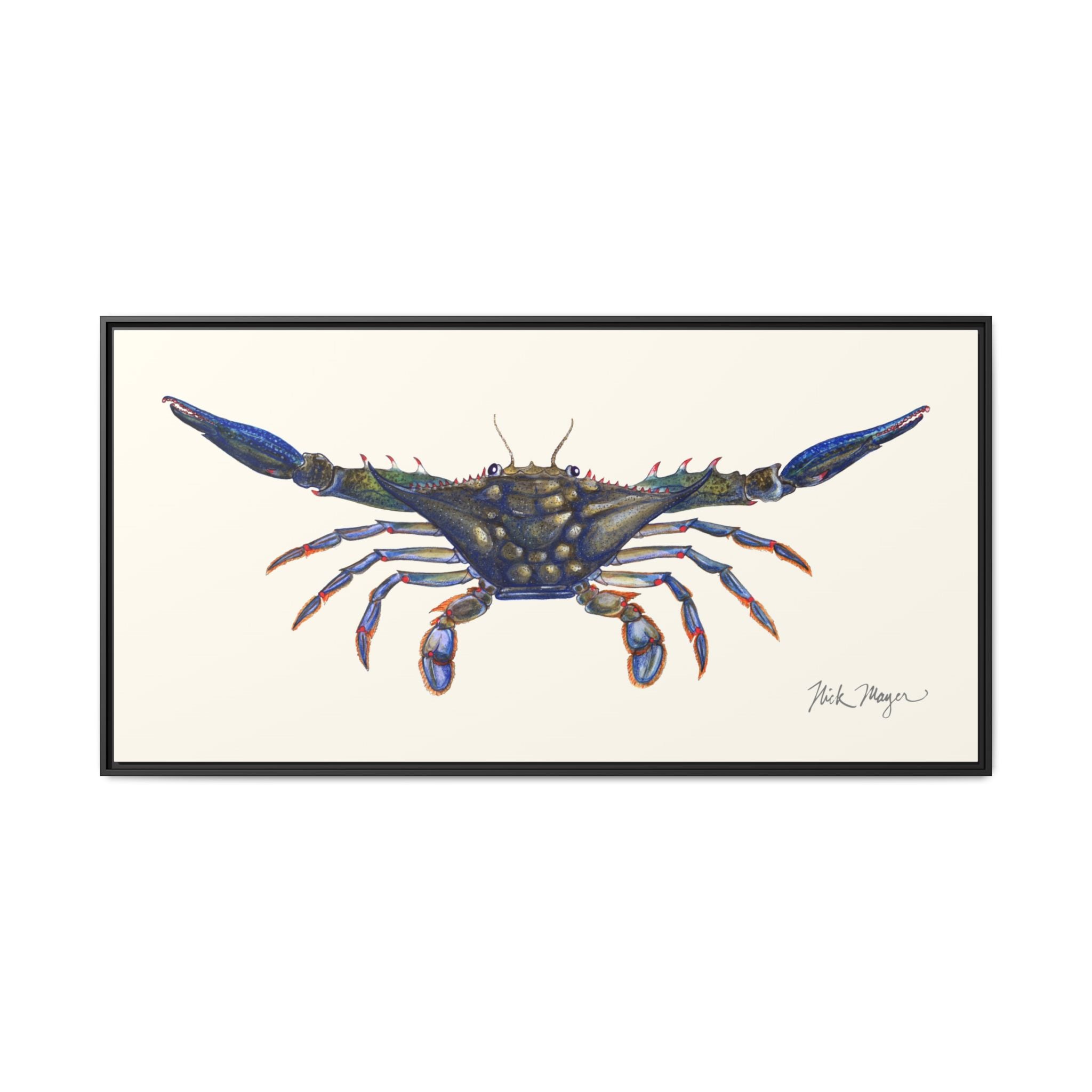 Blue Crab, Claws Out Framed Canvas Print Printify