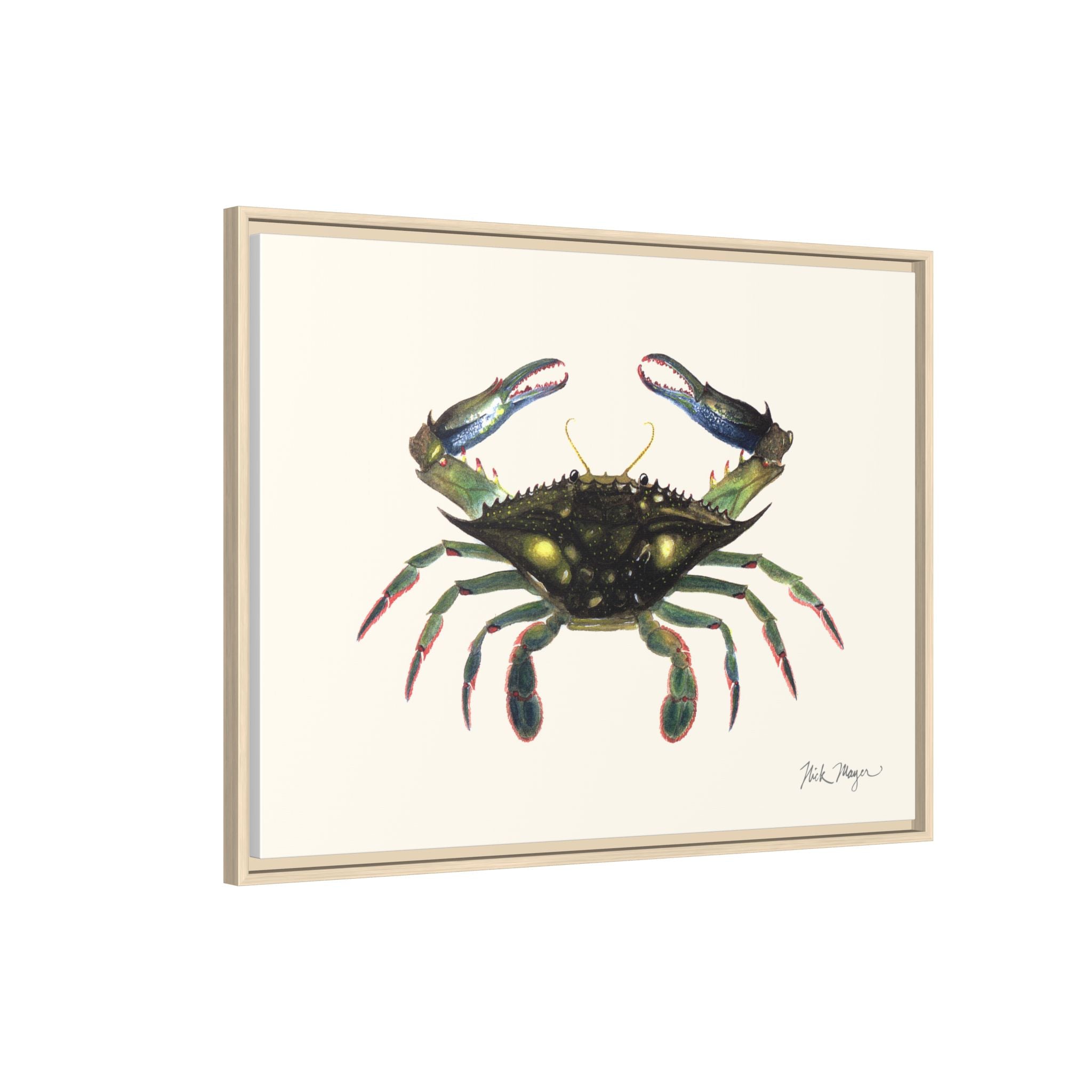 Blue Crab, Claws in Framed Canvas Print Printify