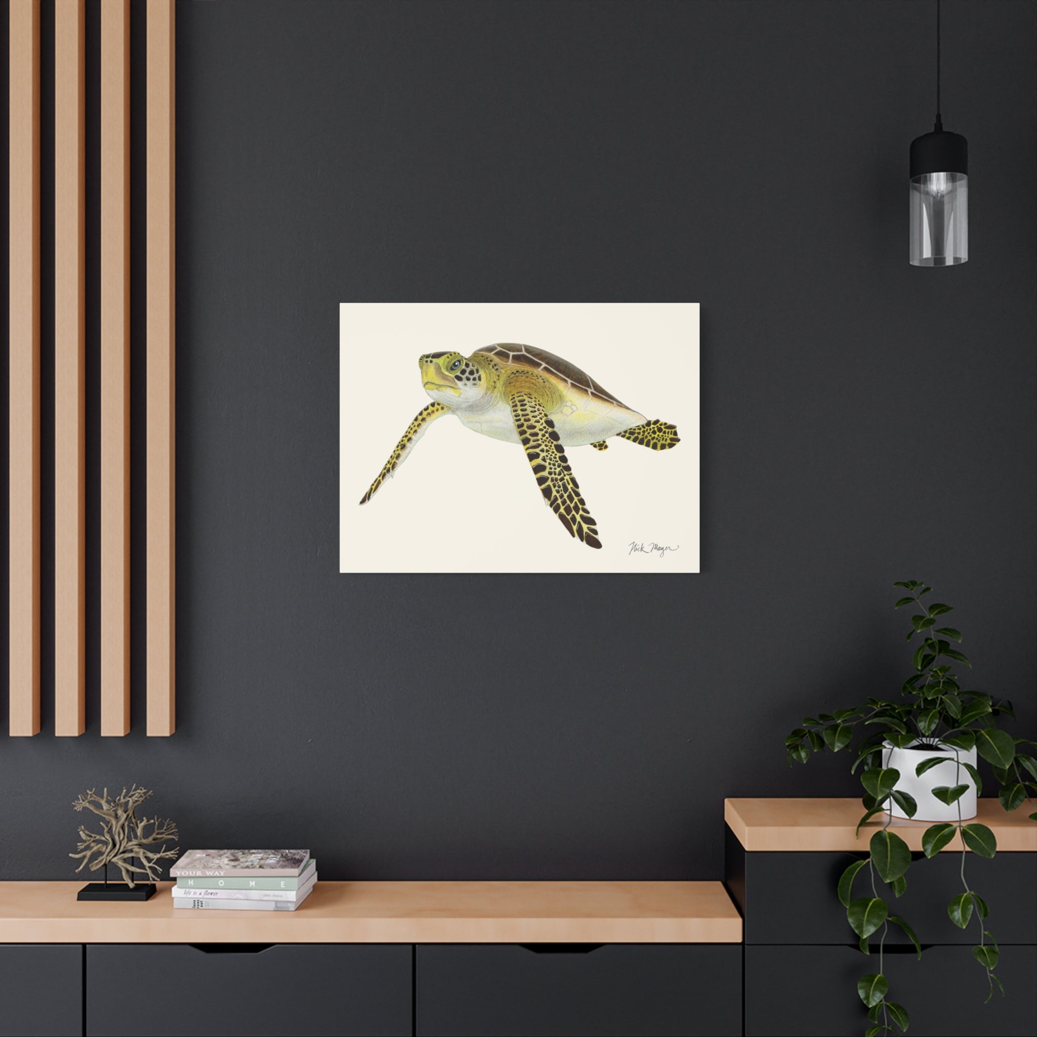 Juvenile Green Sea Turtle III Canvas Print