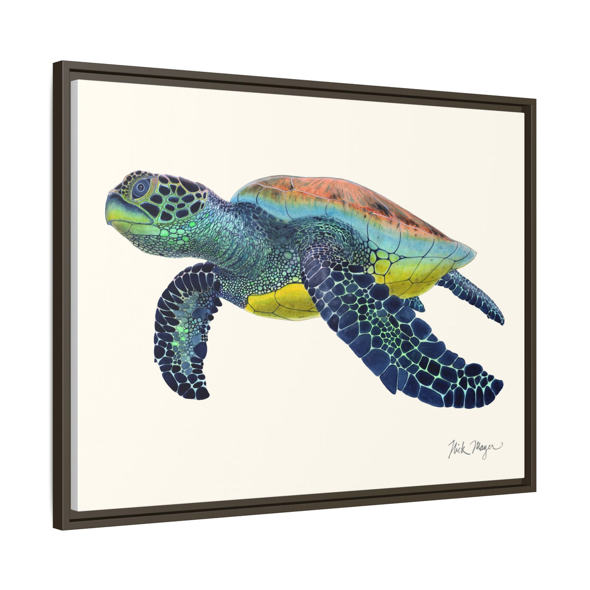 Green Sea Turtle II Framed Canvas Print Printify