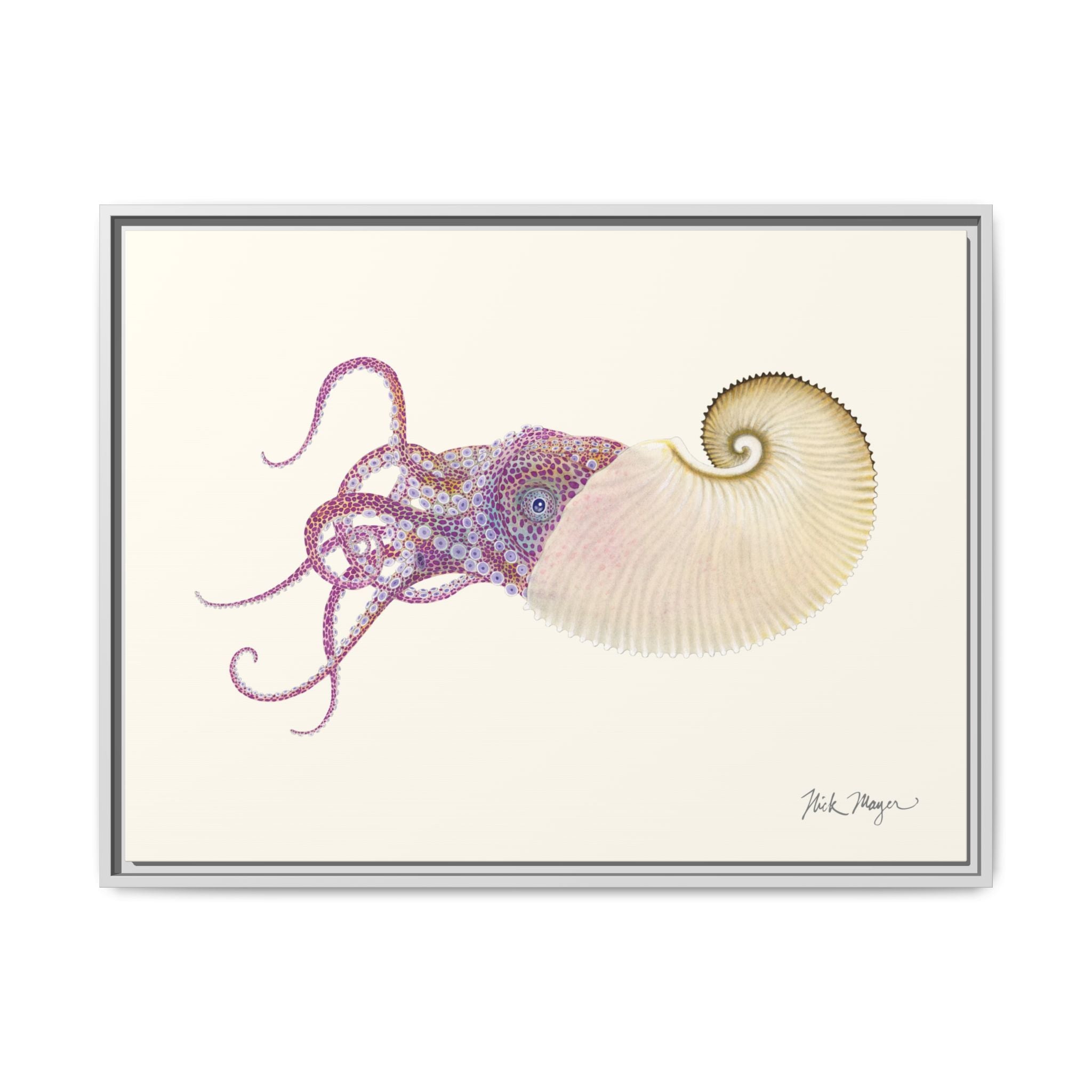 Paper Nautilus Framed Canvas Print Printify