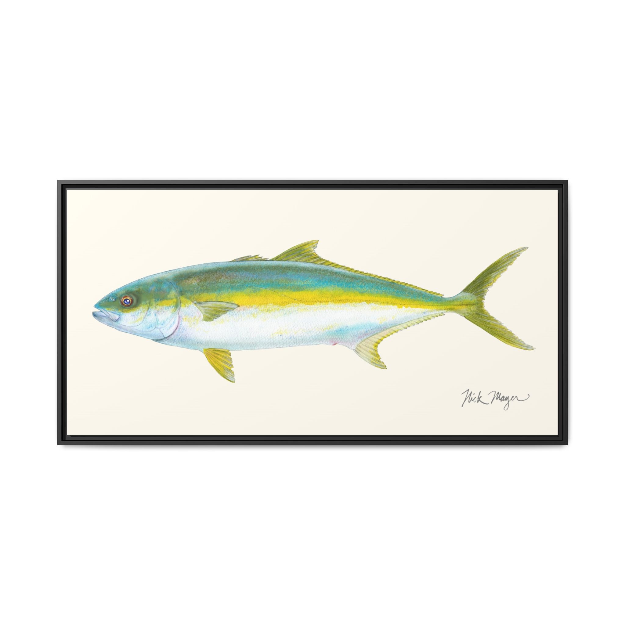 California Yellowtail I Framed Canvas Print Printify