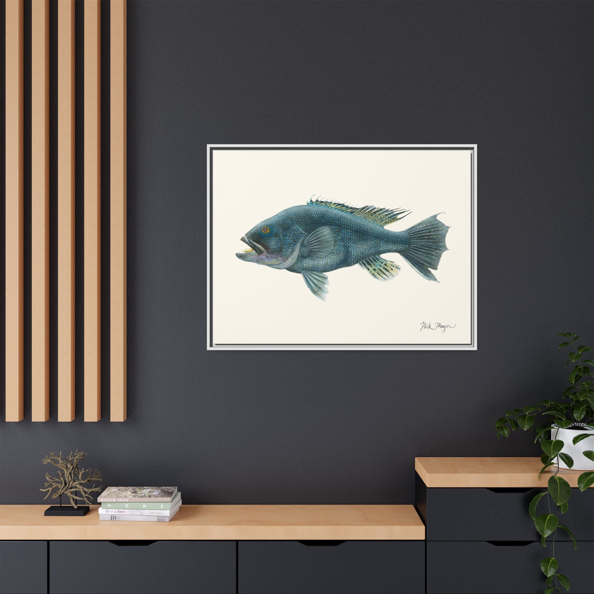 Black Sea Bass Framed Canvas Print Printify