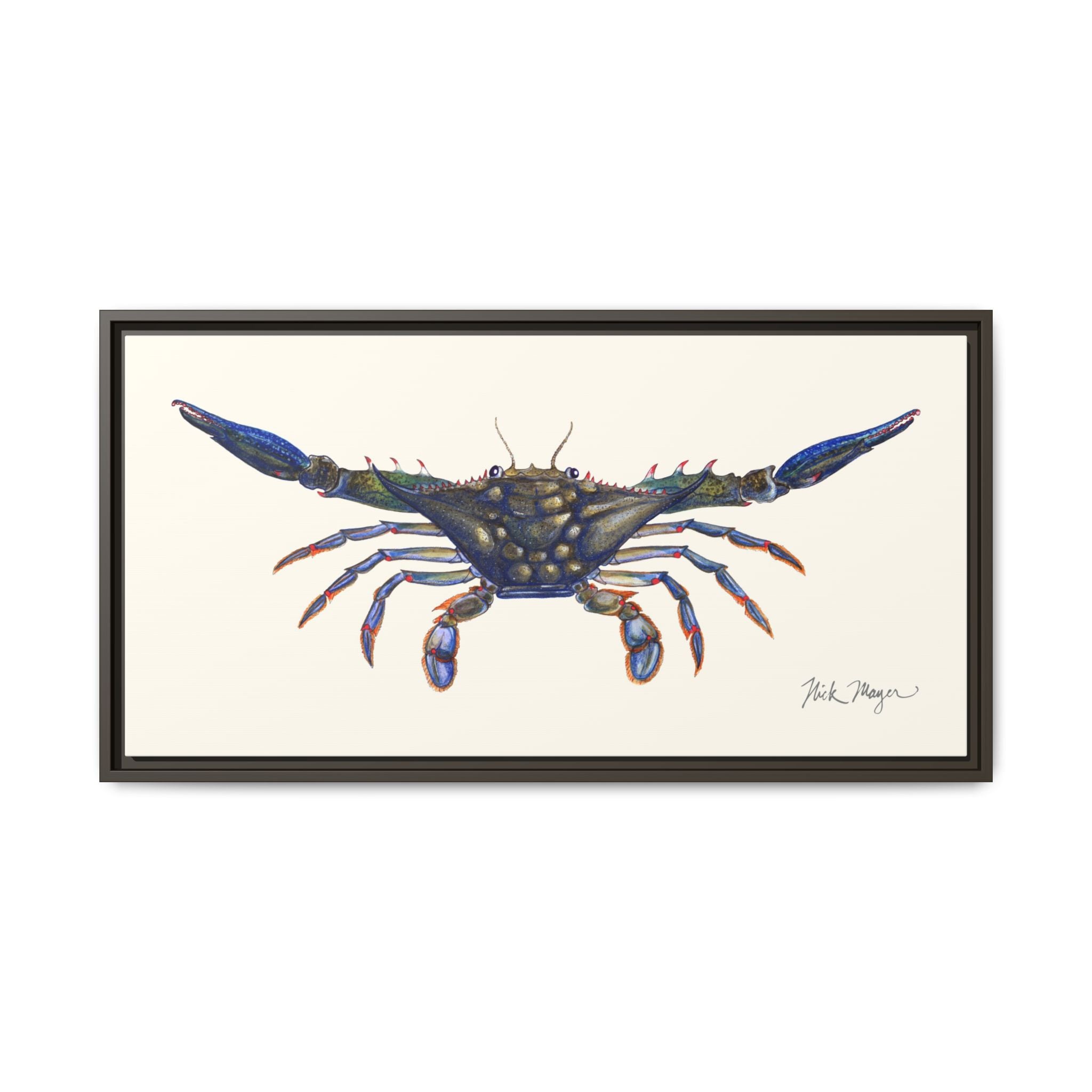 Blue Crab, Claws Out Framed Canvas Print Printify
