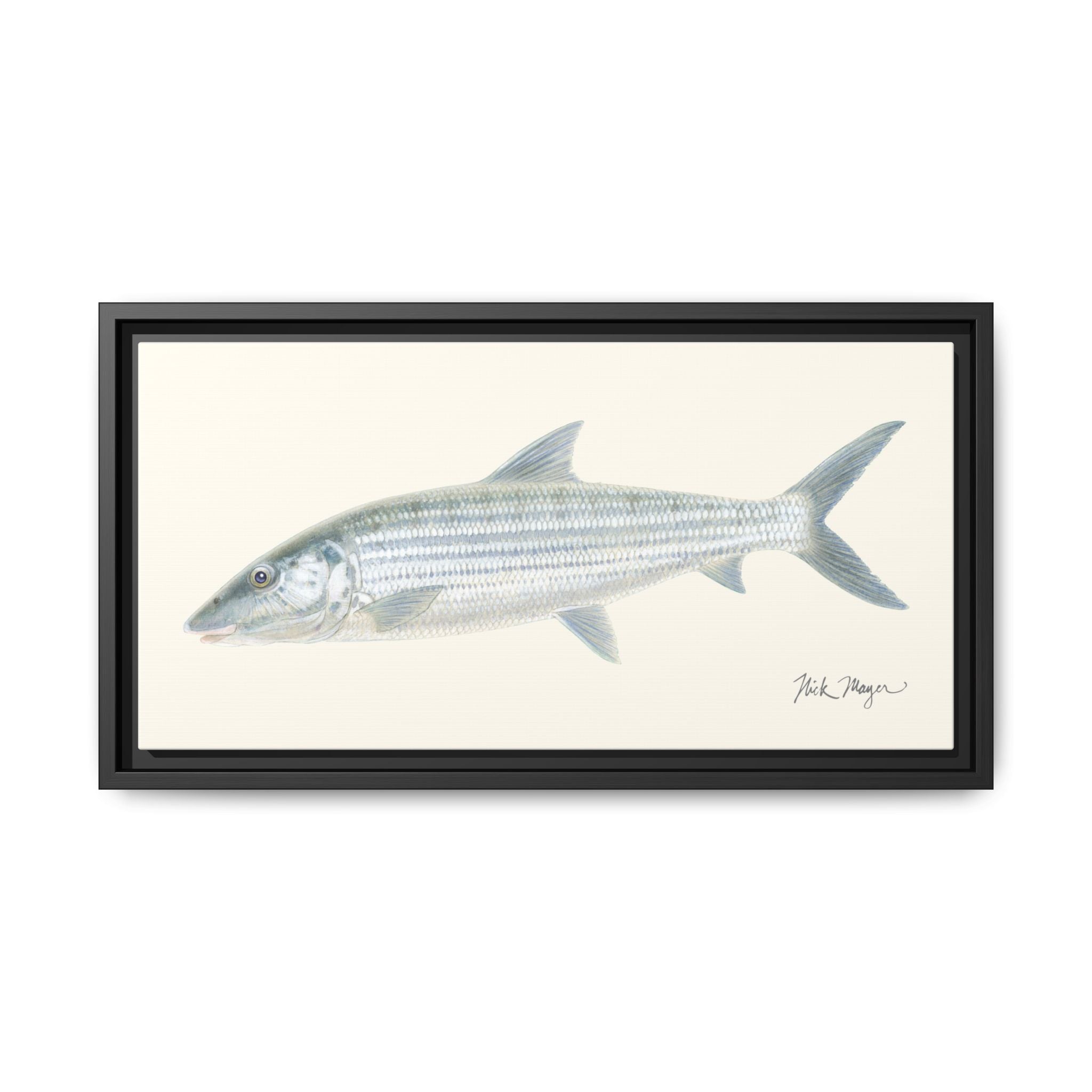Bonefish Framed Canvas Print Printify