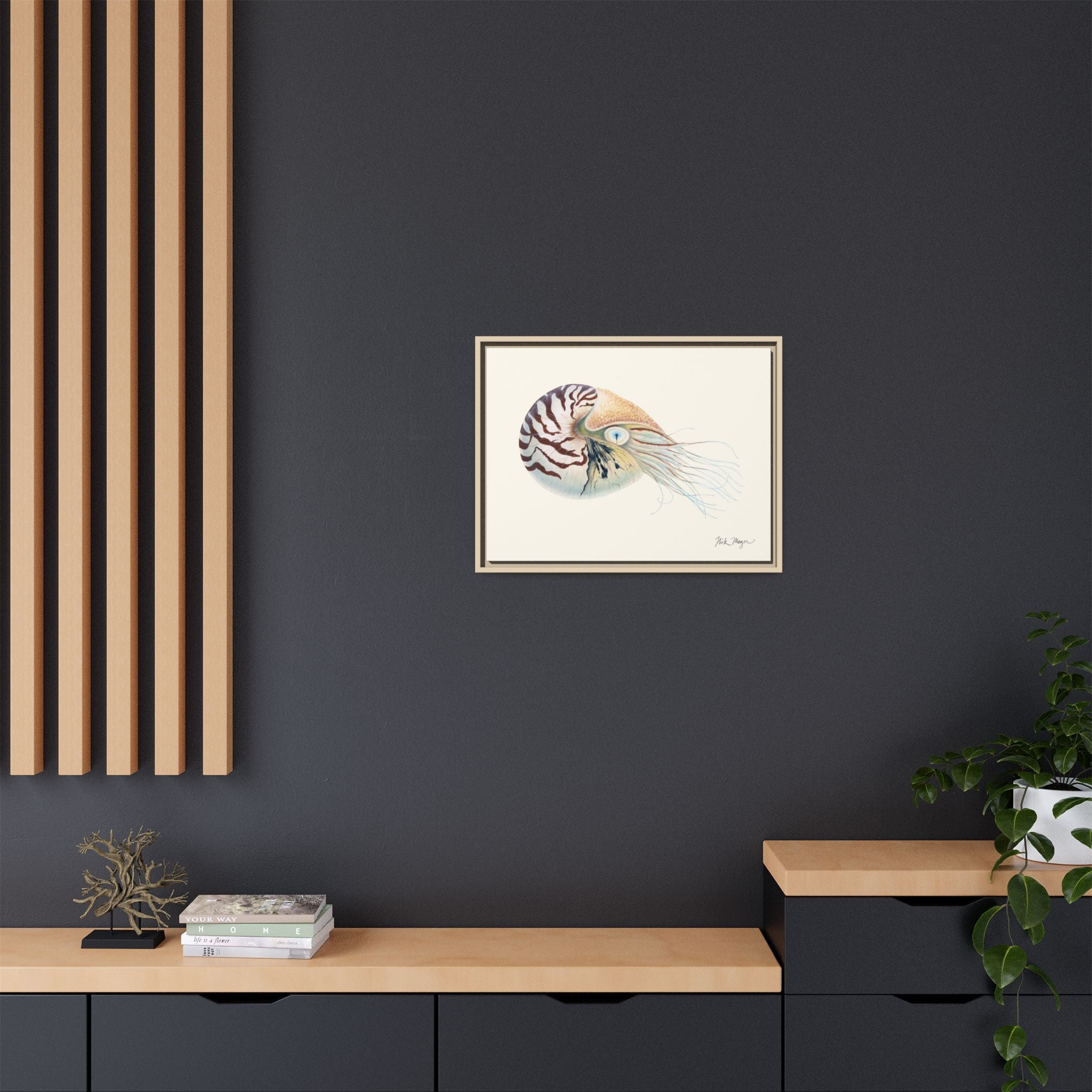 Chambered Nautilus Framed Canvas Print Printify