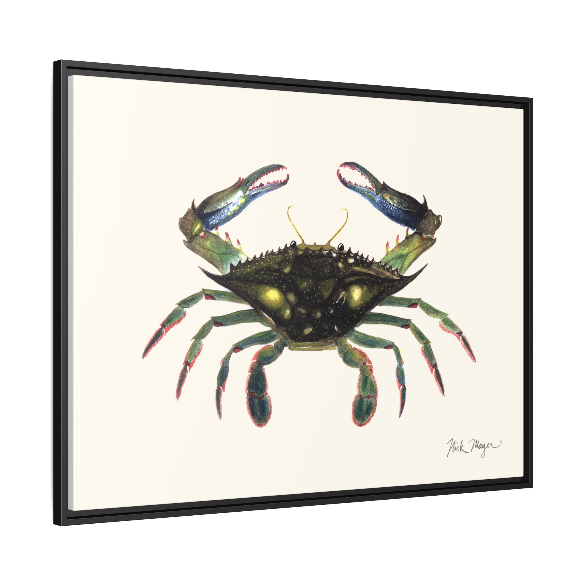 Blue Crab, Claws in Framed Canvas Print Printify