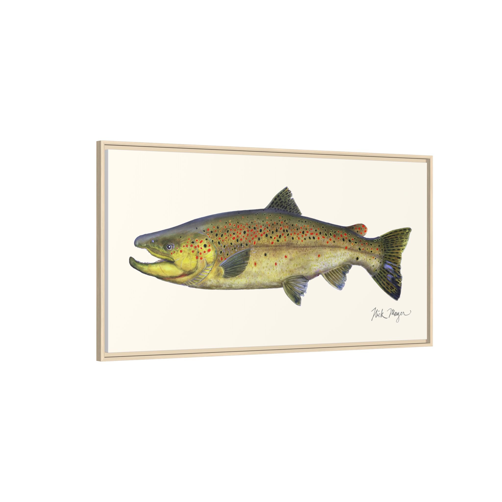 Brown Trout I Framed Canvas Print Printify
