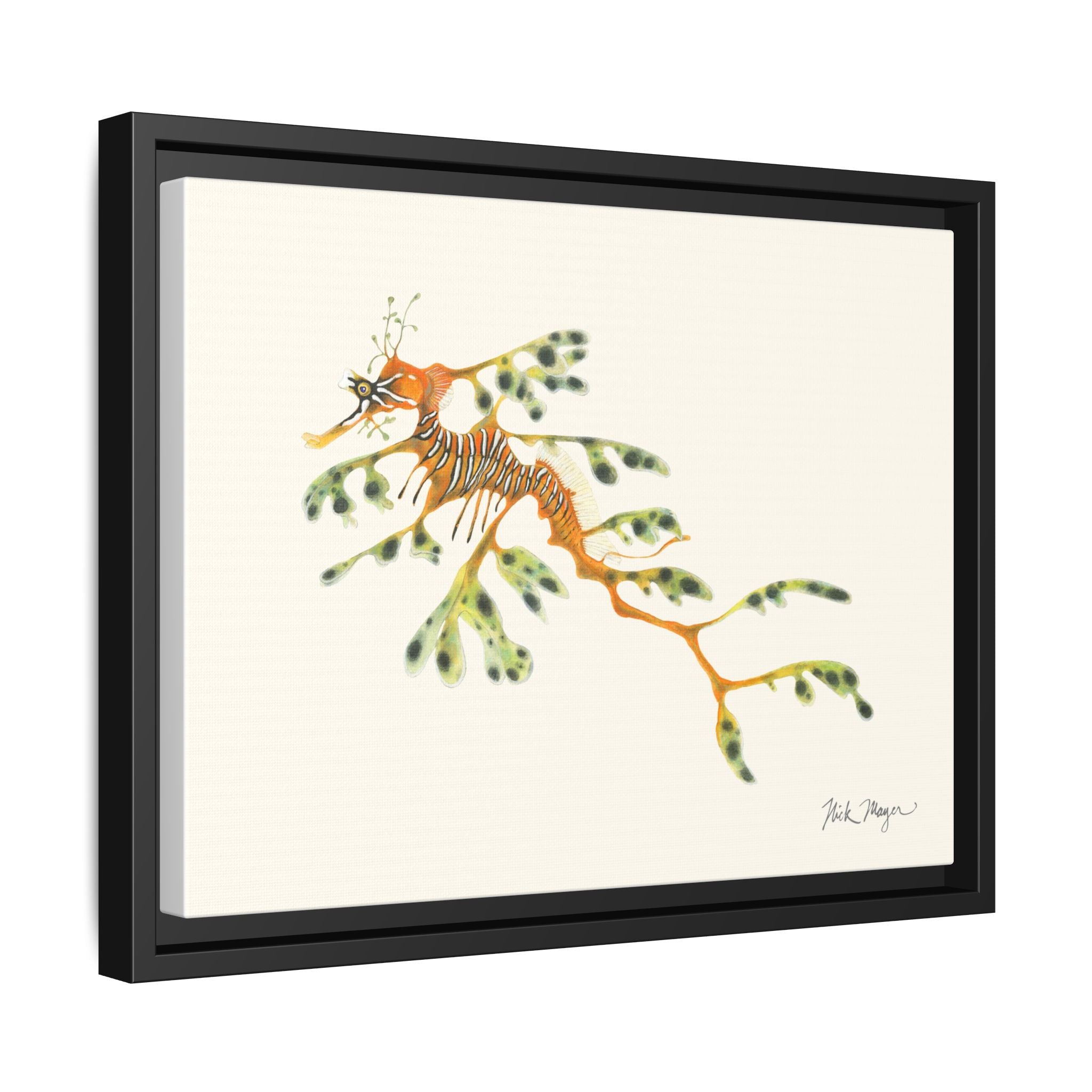Leafy Sea Dragon Framed Canvas Print Printify