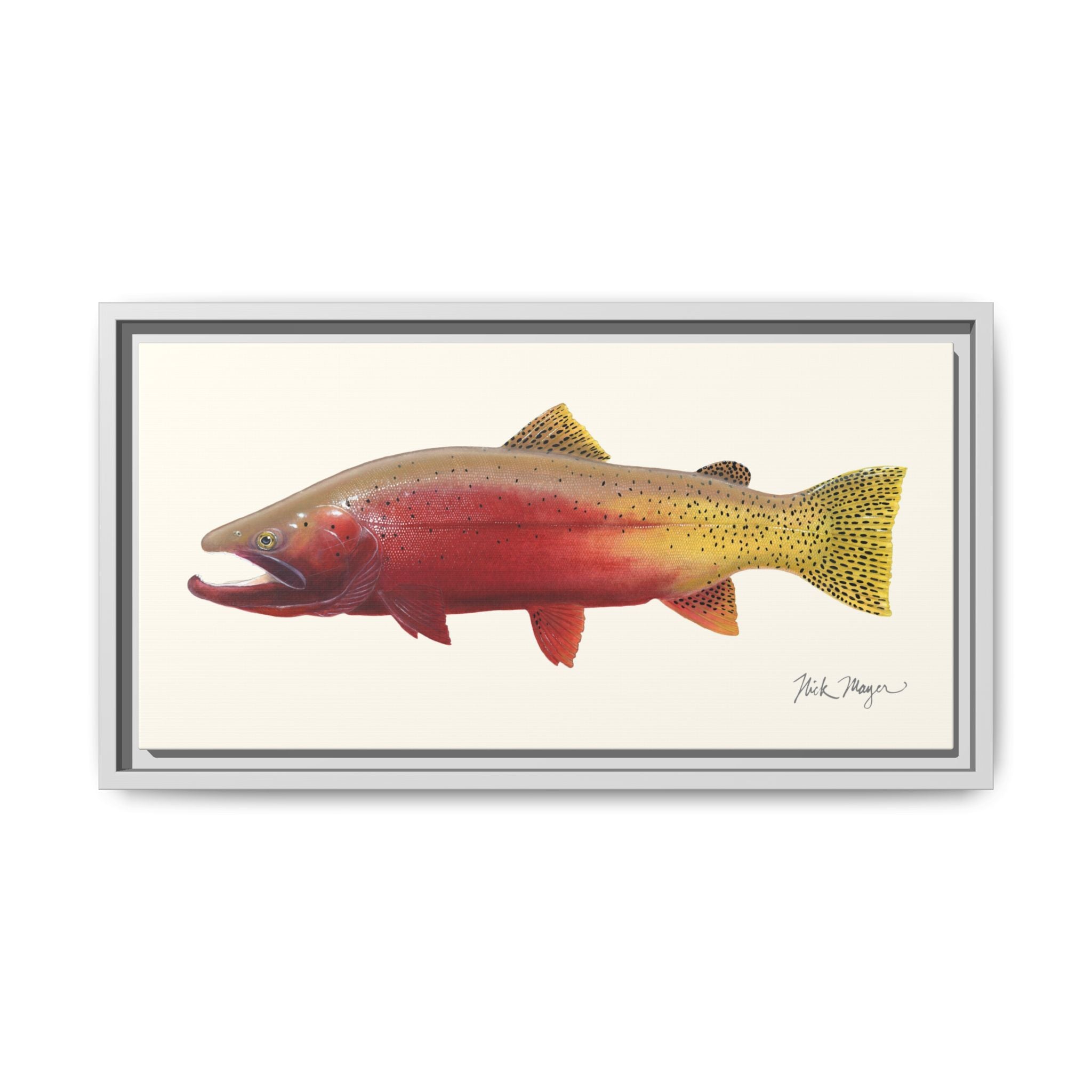 Cutthroat Trout II Framed Canvas Print Printify