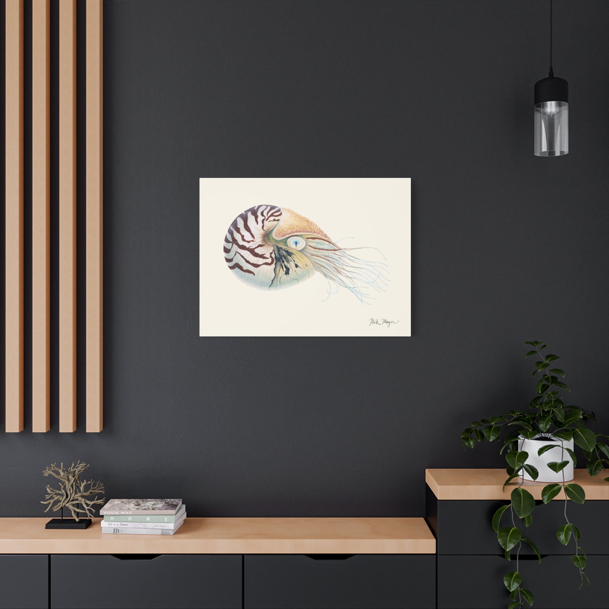 Chambered Nautilus Canvas Print