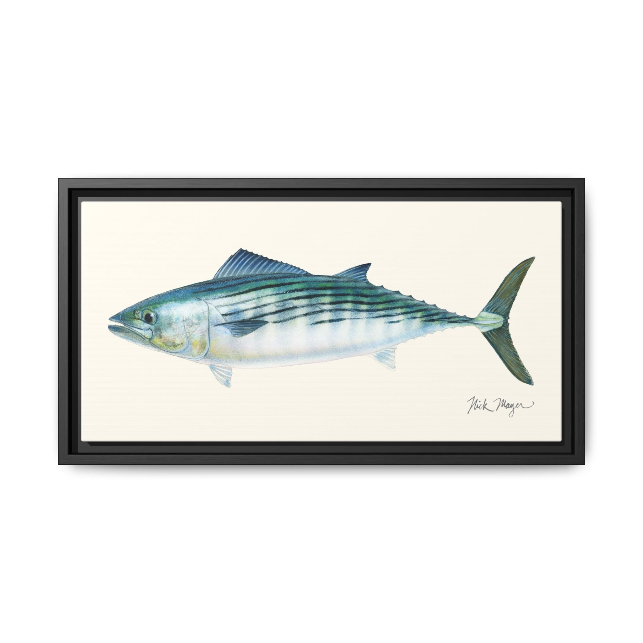 Bonito Framed Canvas Print Printify