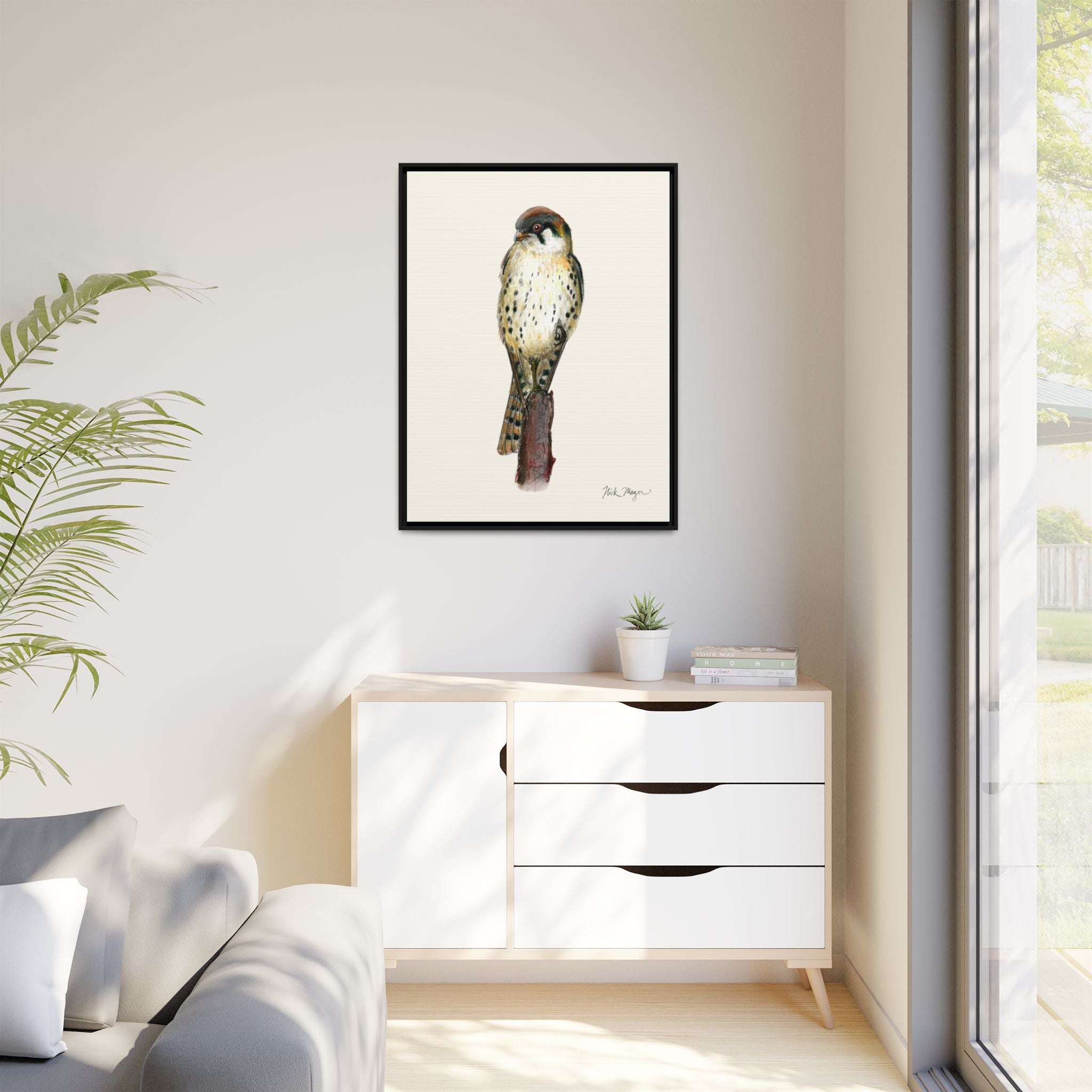 American Kestrel Framed Canvas Print Printify