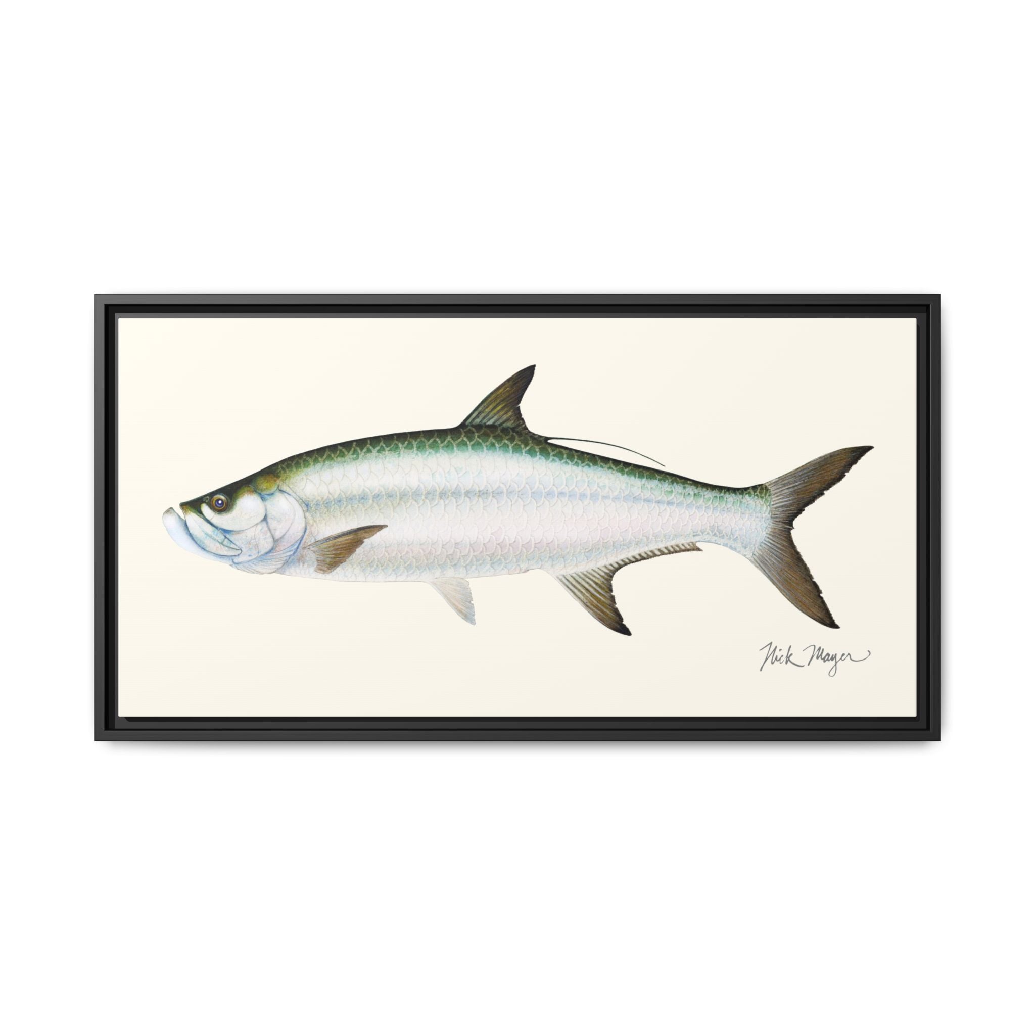 Tarpon Framed Canvas Print Printify