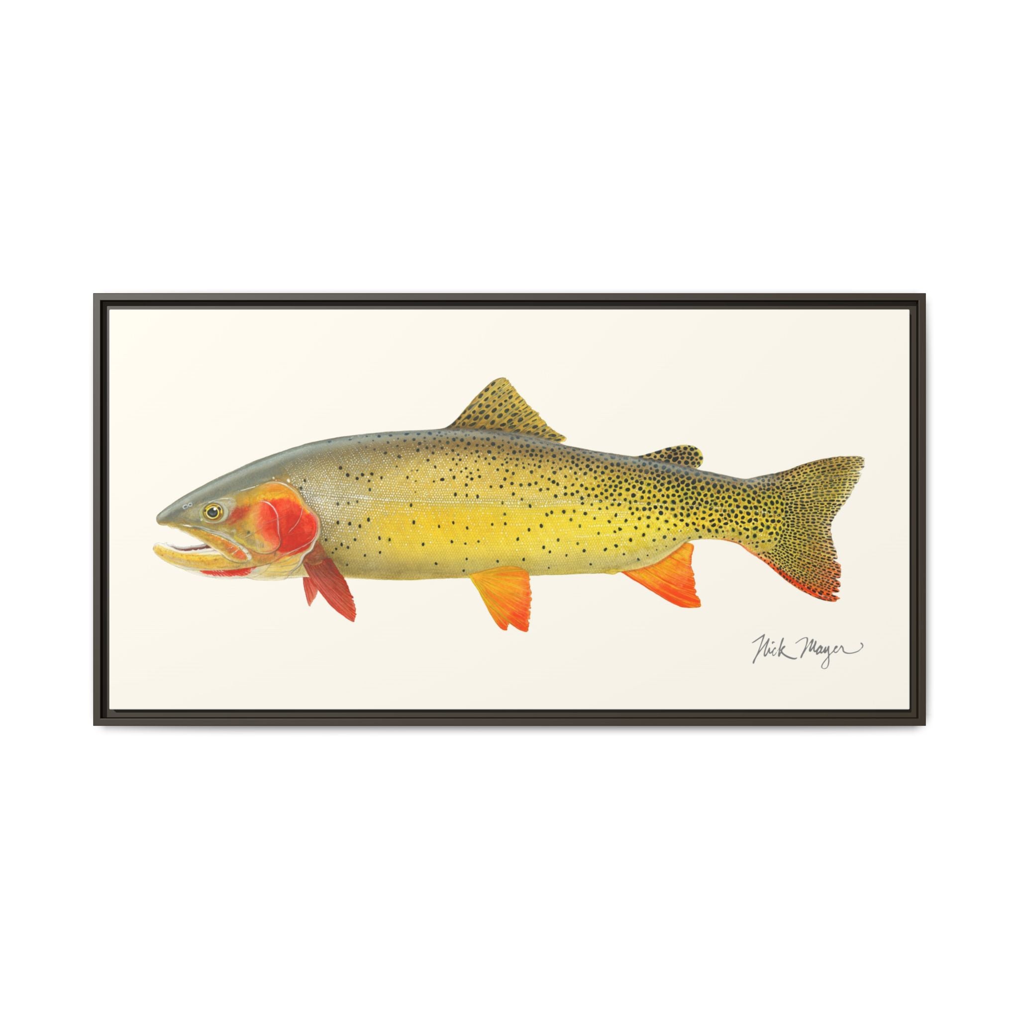 Cutthroat Trout I Framed Canvas Print Printify