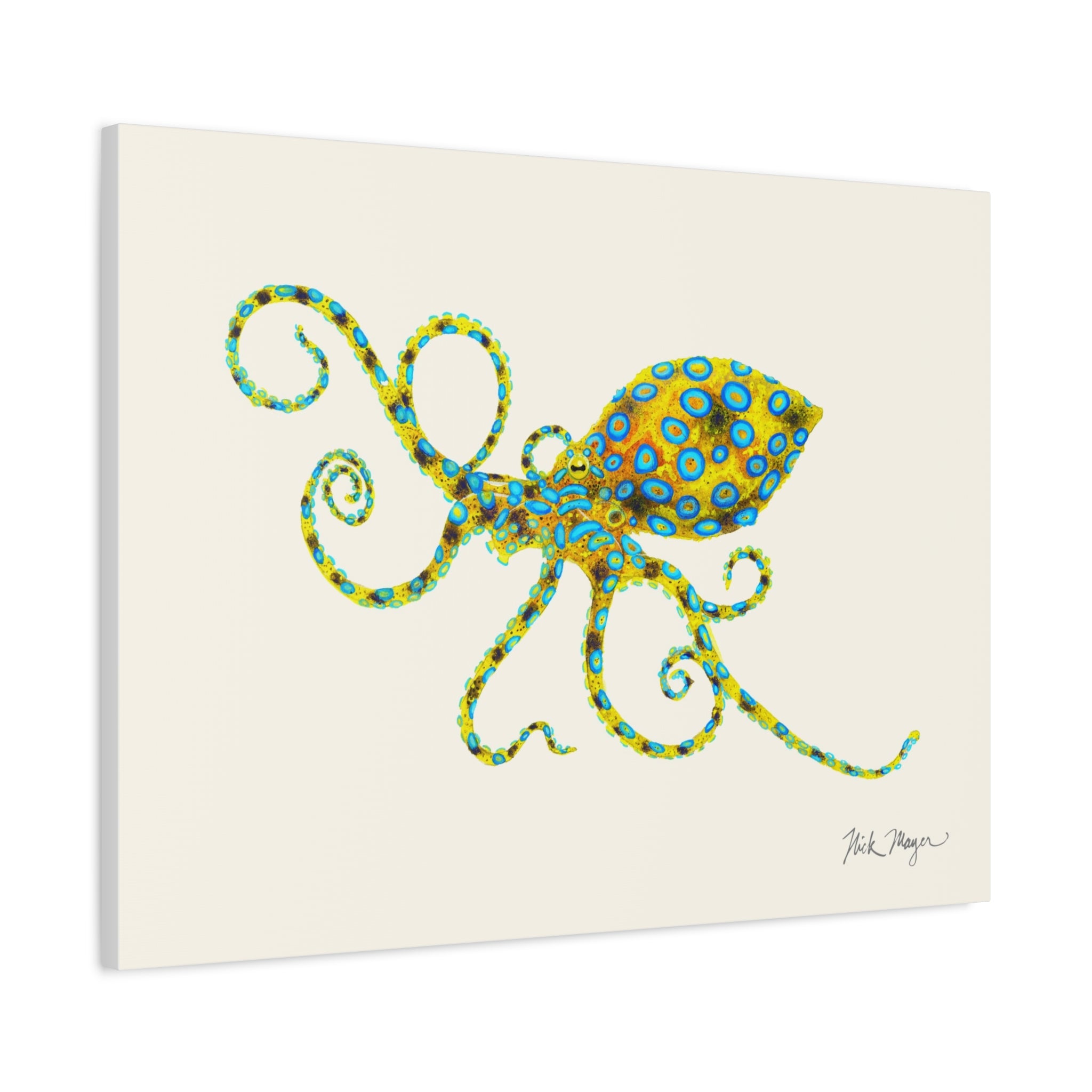 Blue Ringed Octopus Canvas Print