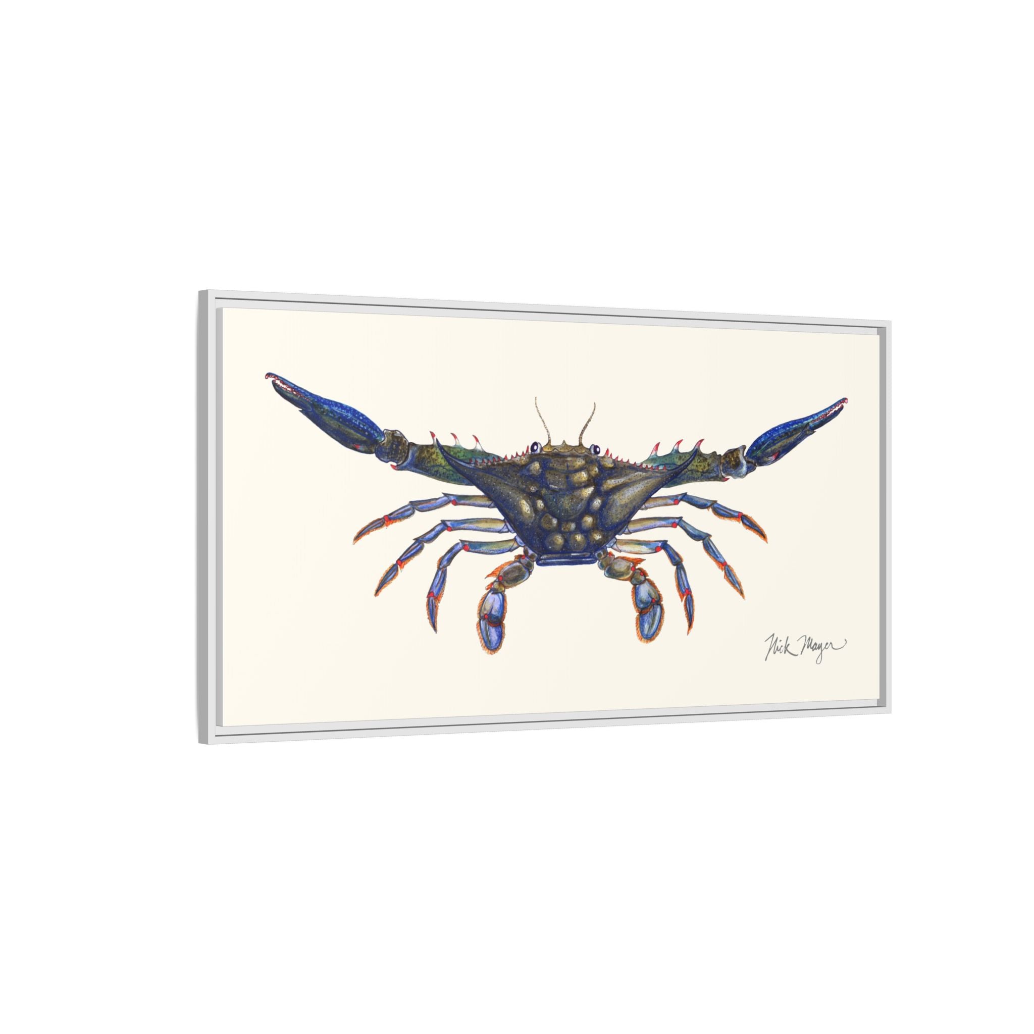 Blue Crab, Claws Out Framed Canvas Print Printify