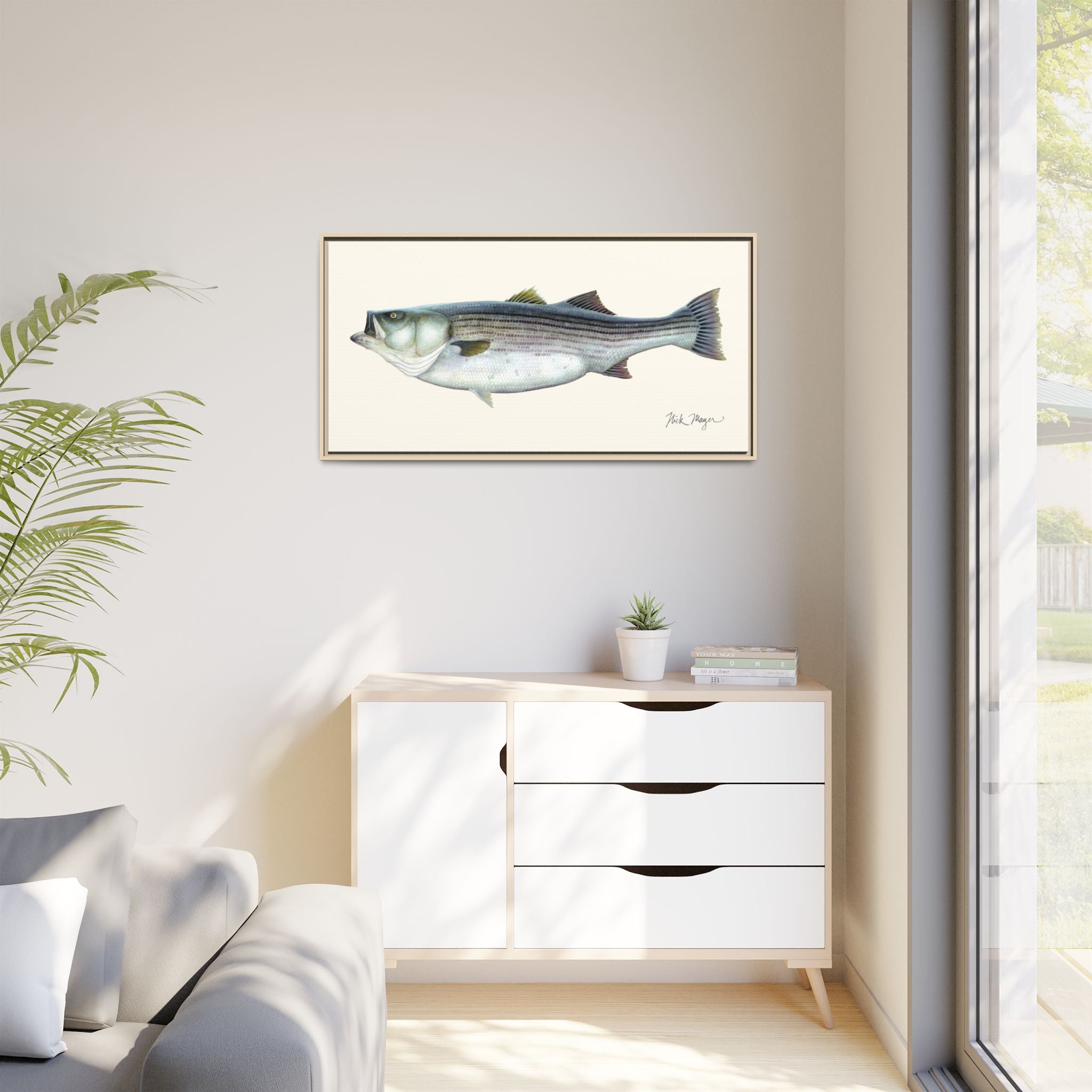 Striped Bass, 60 lbs Framed Canvas Print Printify